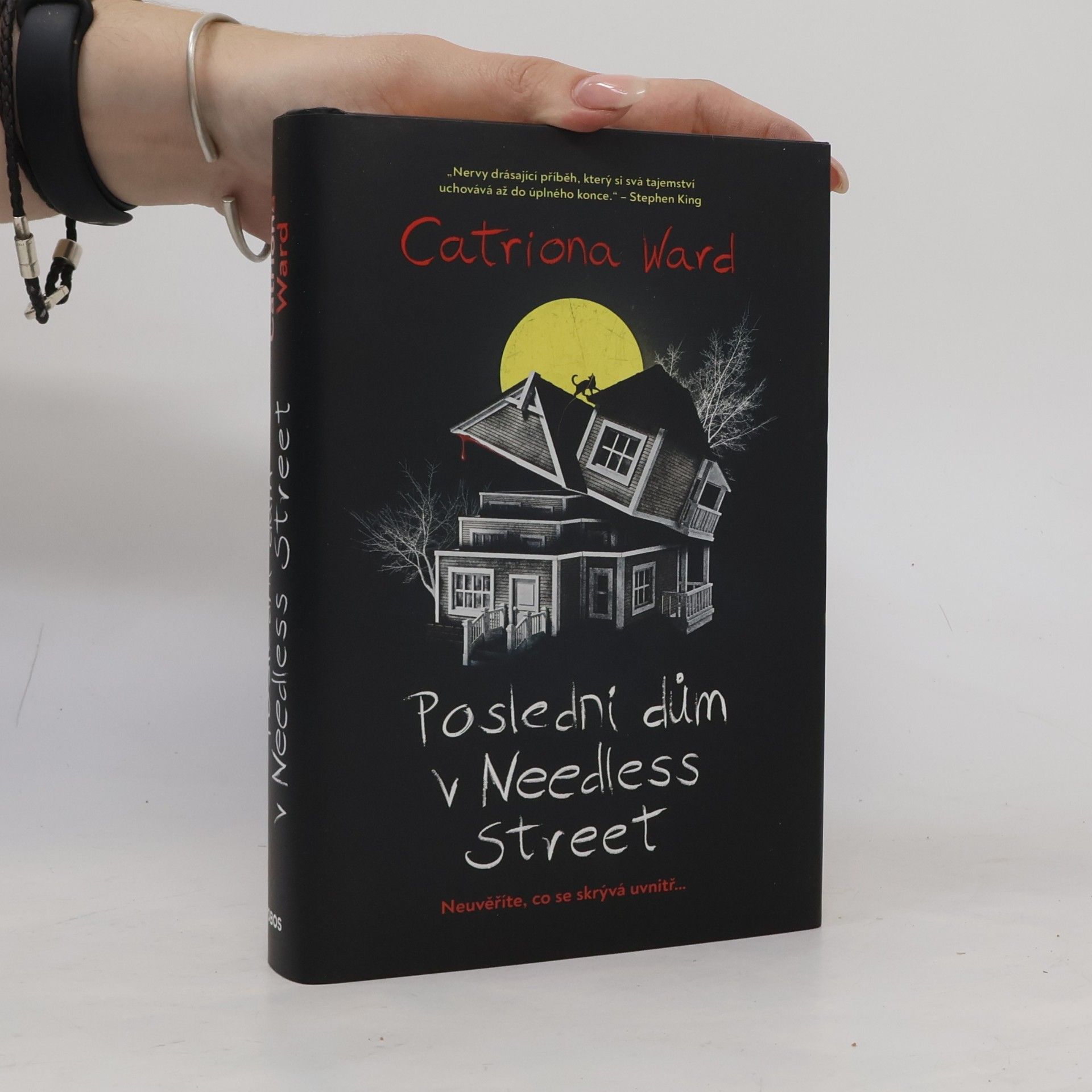 Catriona Ward Poslední dům v Needless Street