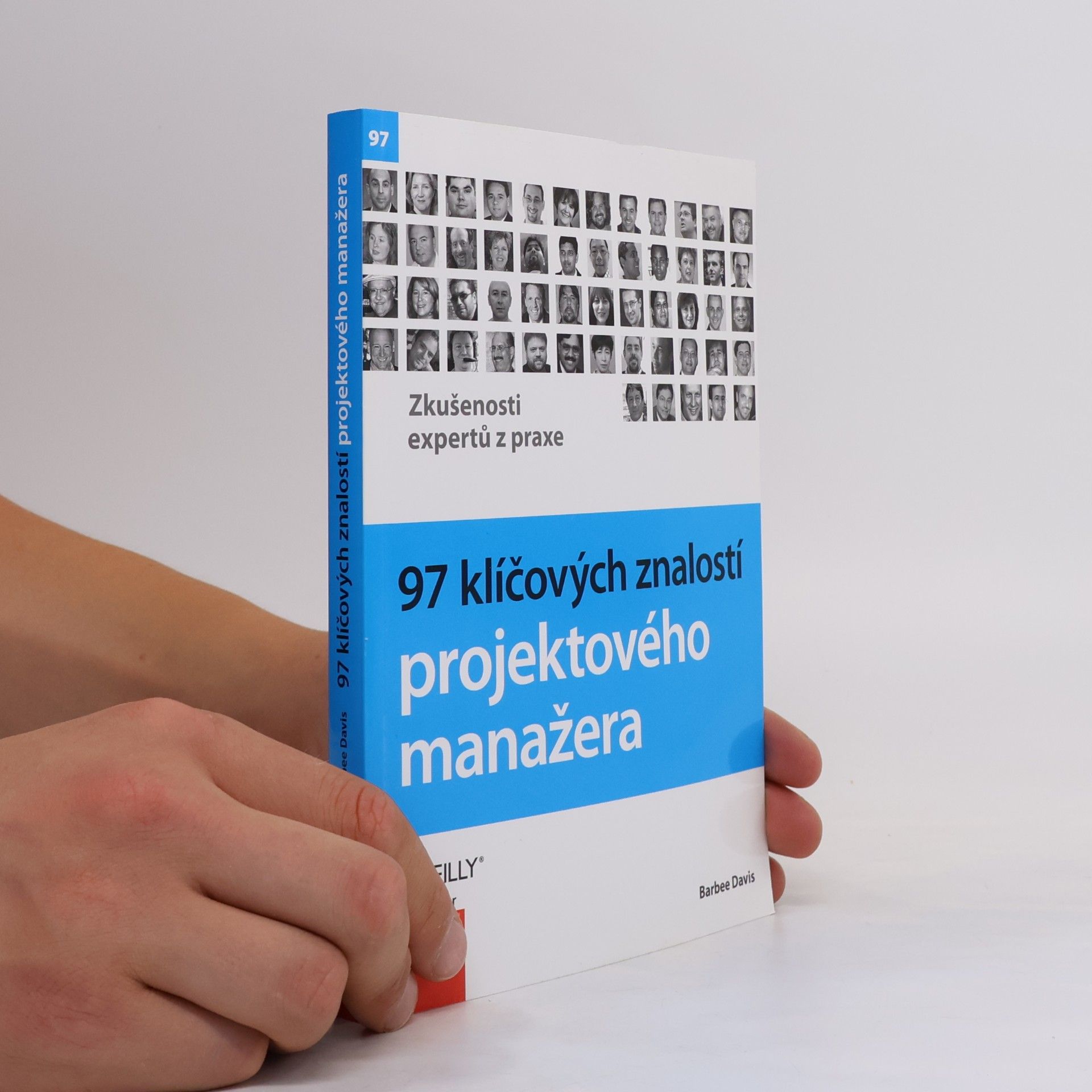 Barbee Davis 97 klíčových znalostí projektového manažera