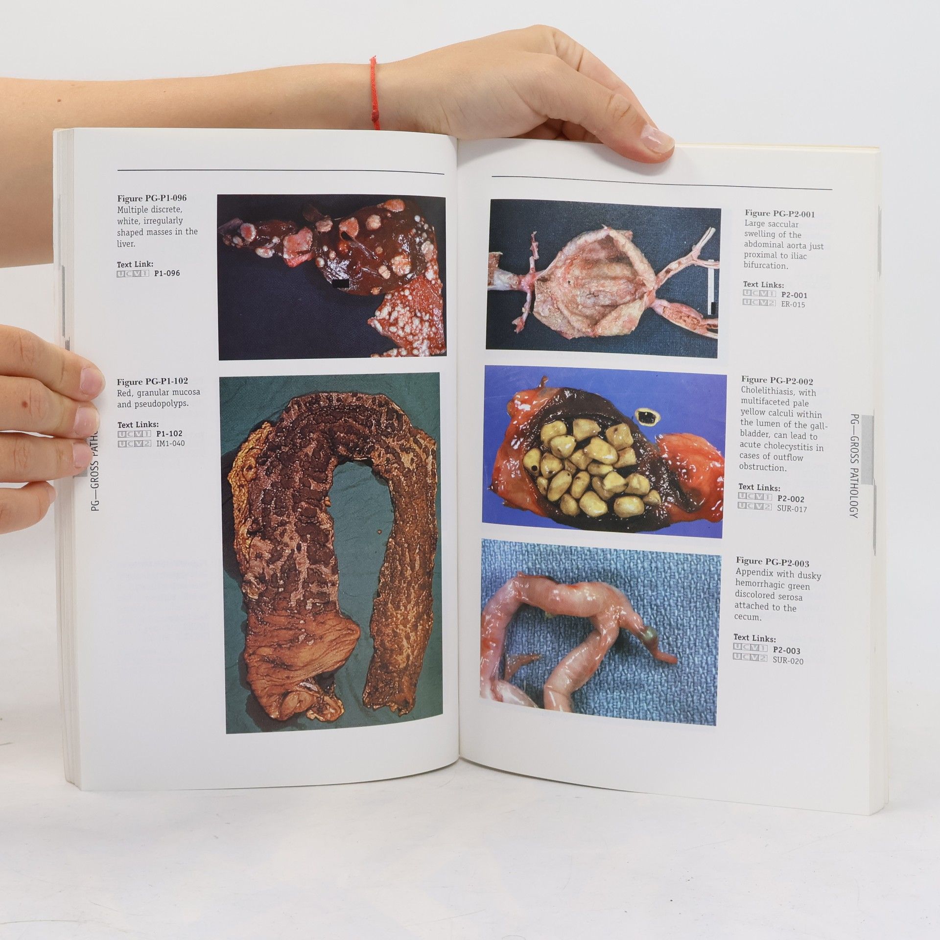 Kolektiv autorů Basic Science Color Atlas