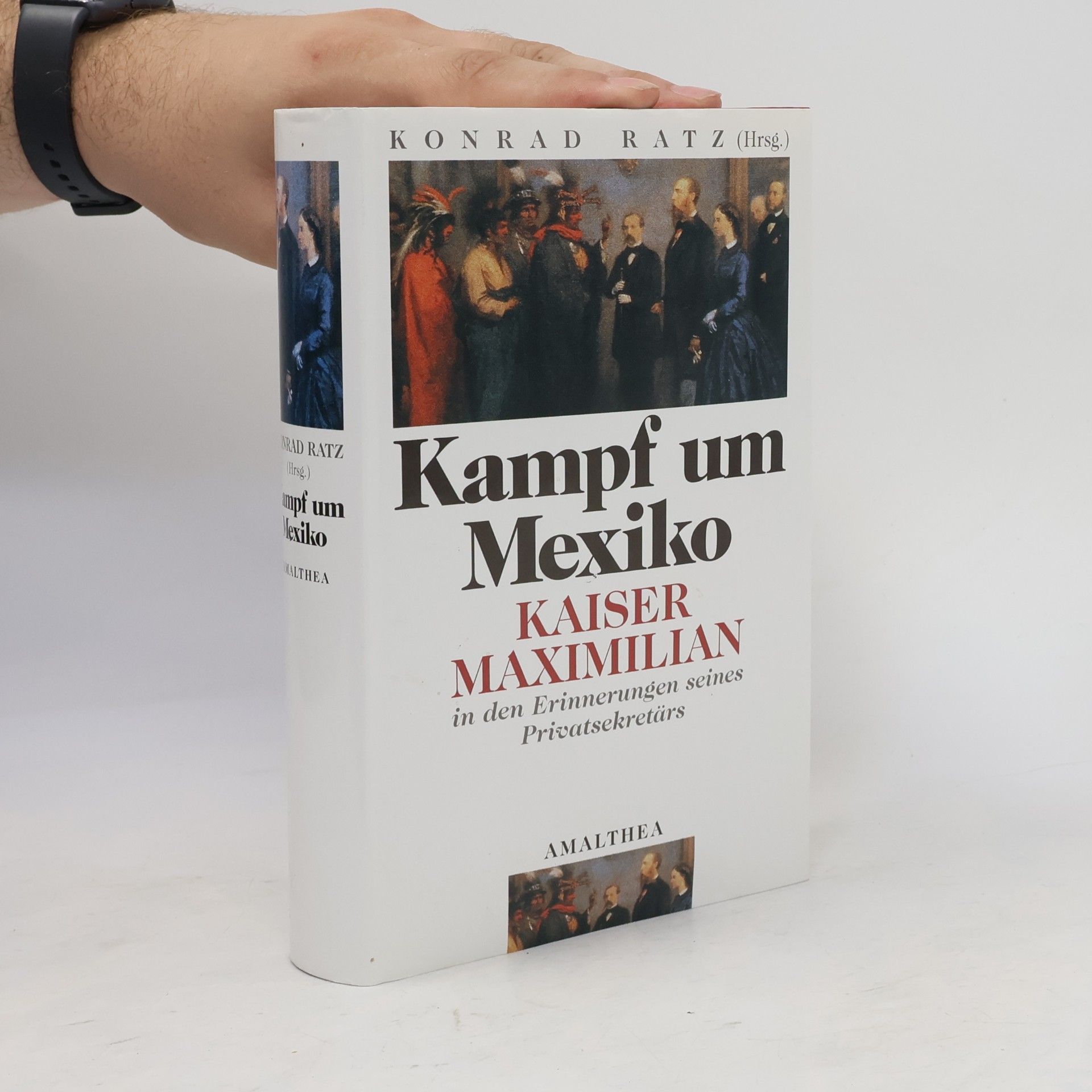 José L. Blasio Kampf um Mexiko