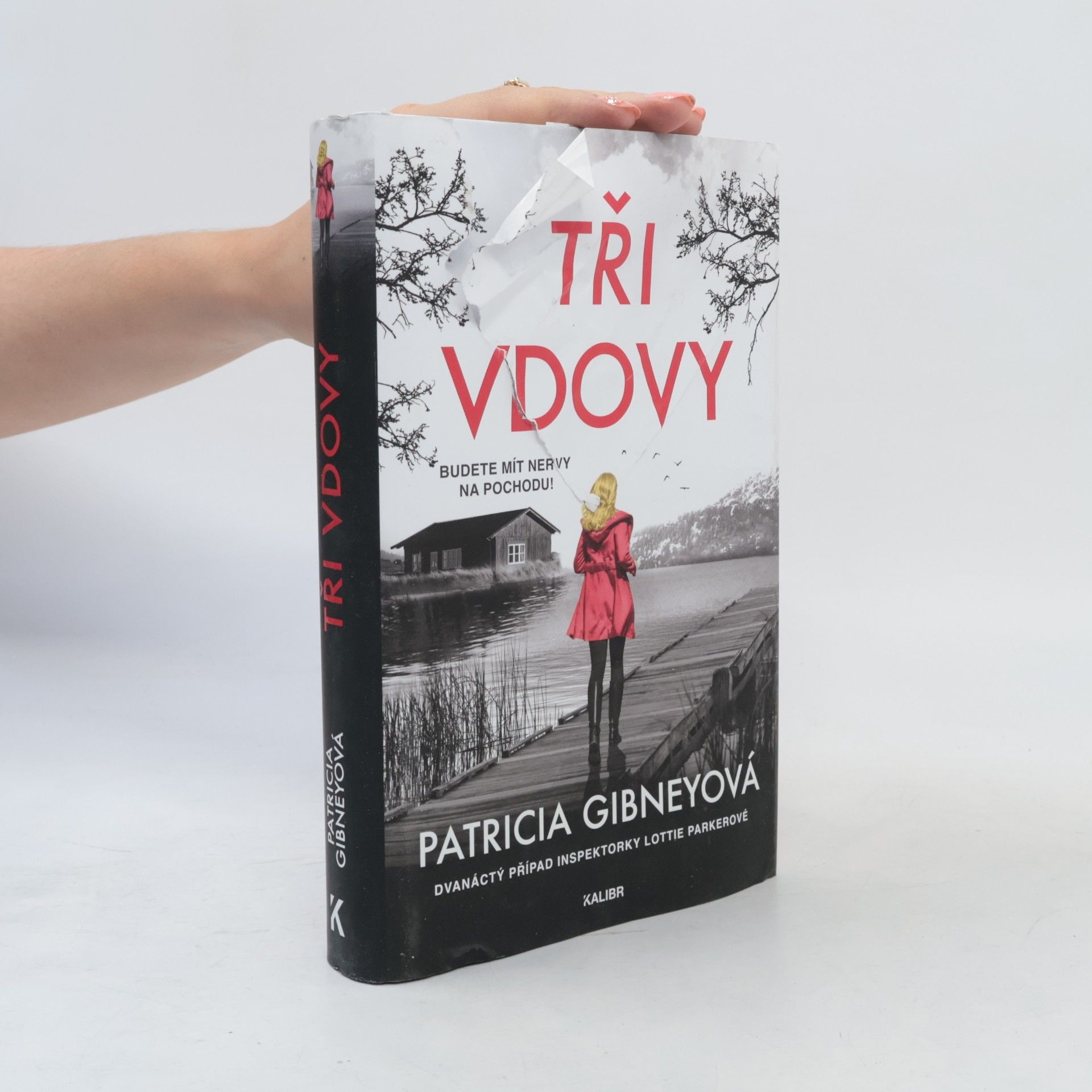 Patricia Gibney Tři vdovy