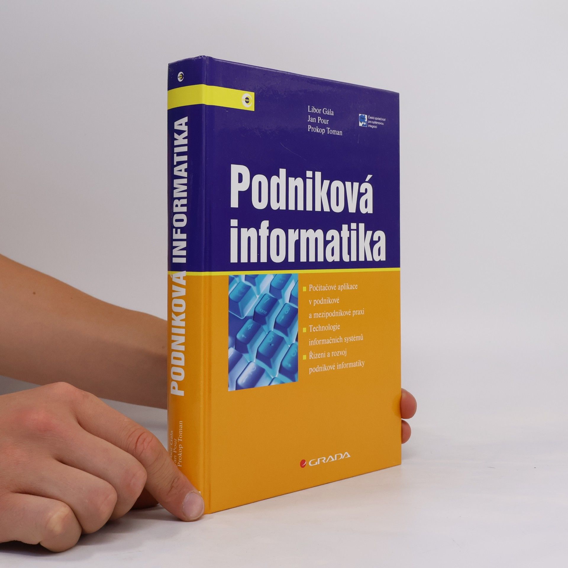 Jan Pour Podniková informatika