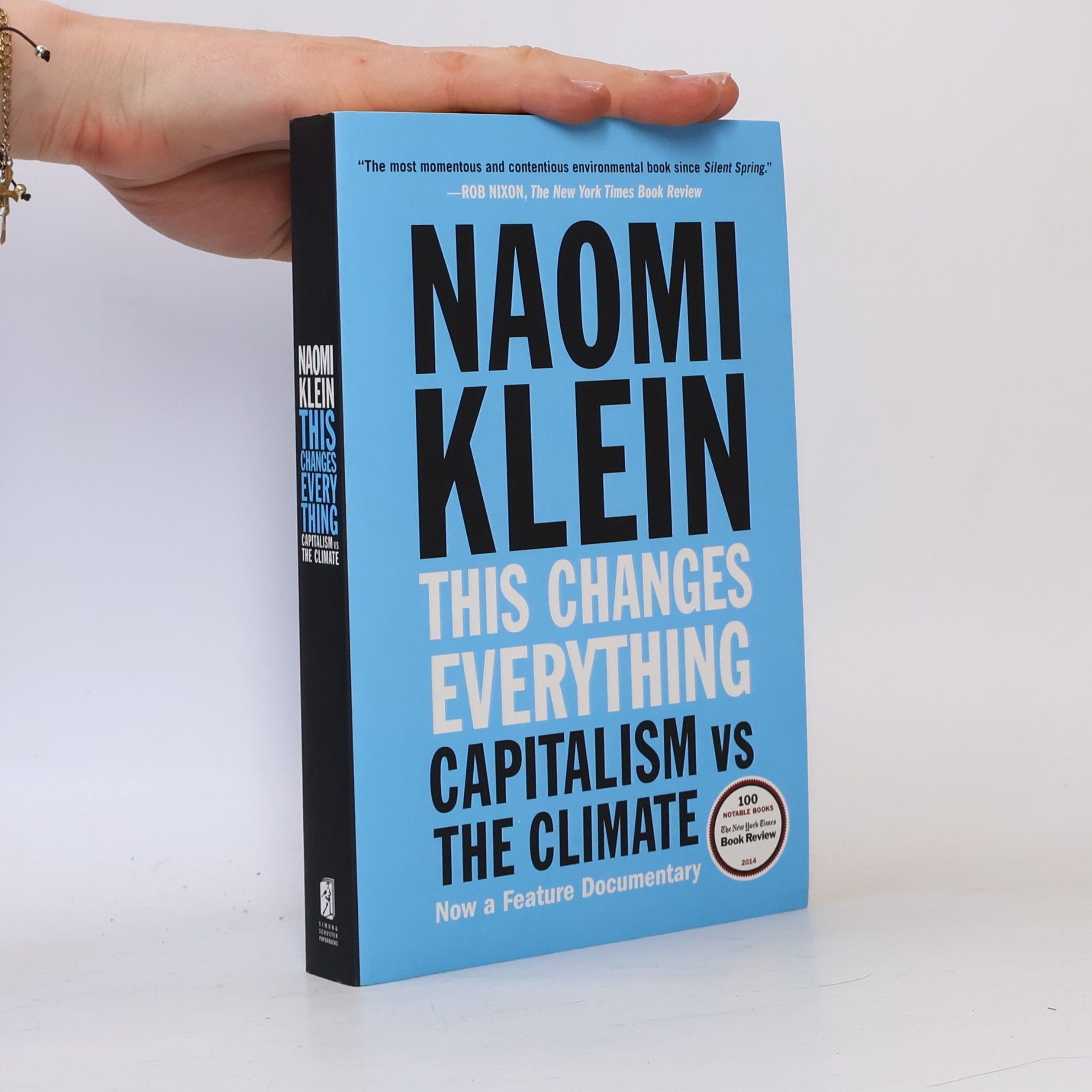 Naomi Klein This Changes Everything