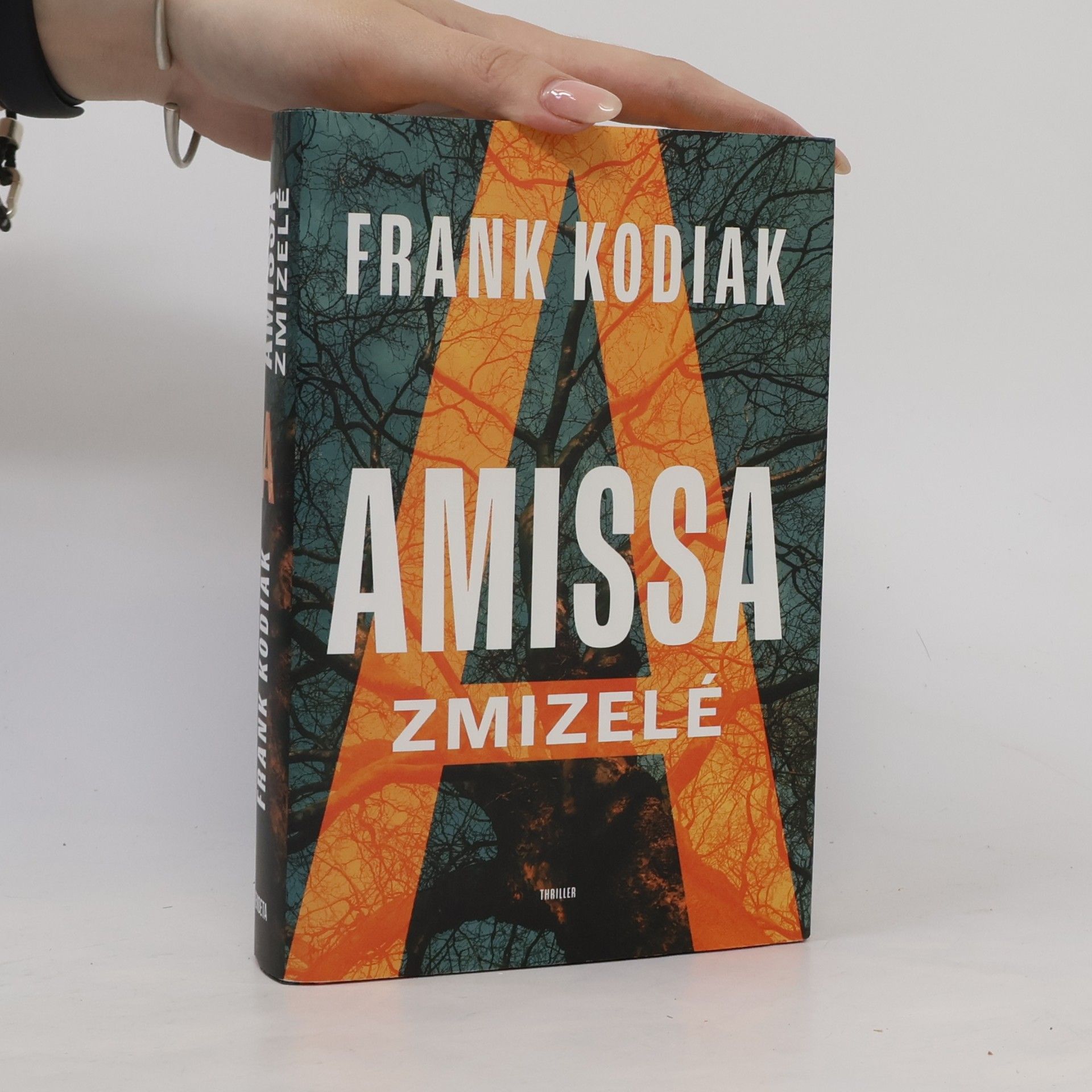 Hendrik Winter Amissa. Zmizelé