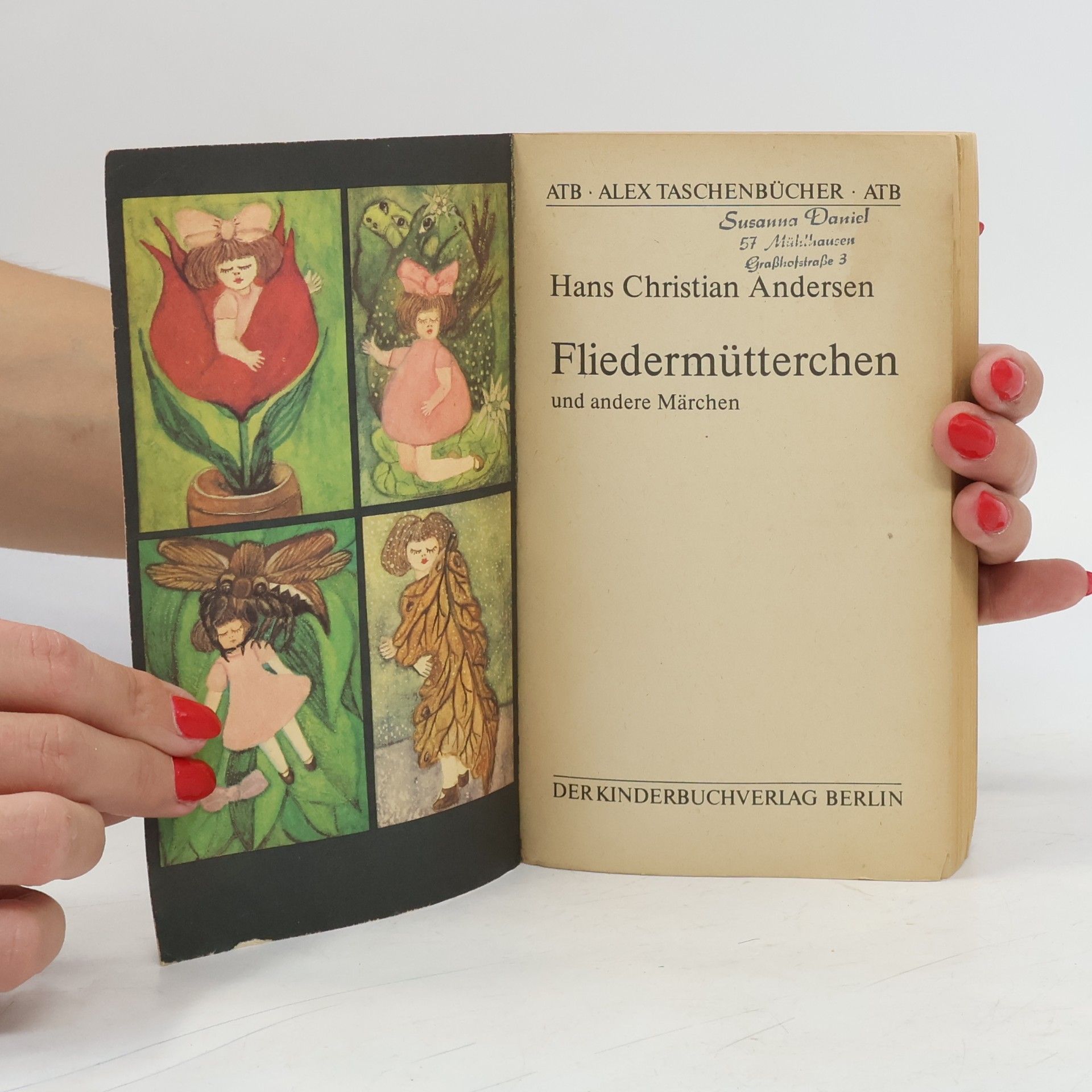 Hans Christian Andersen Fliedermütterchen und andere Märchen
