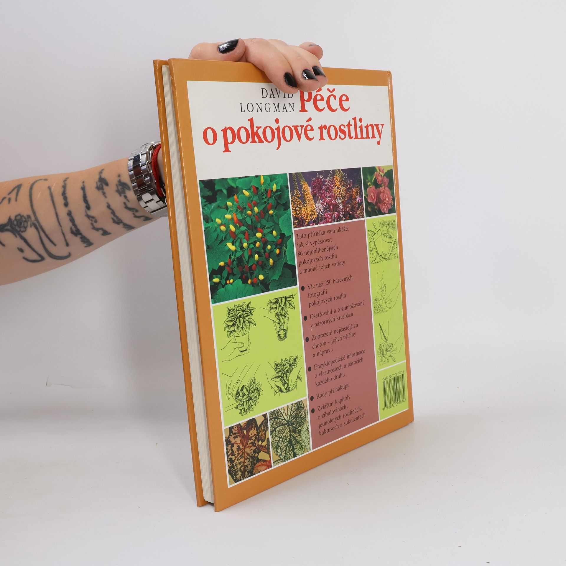 David Longman Péče o pokojové rostliny
