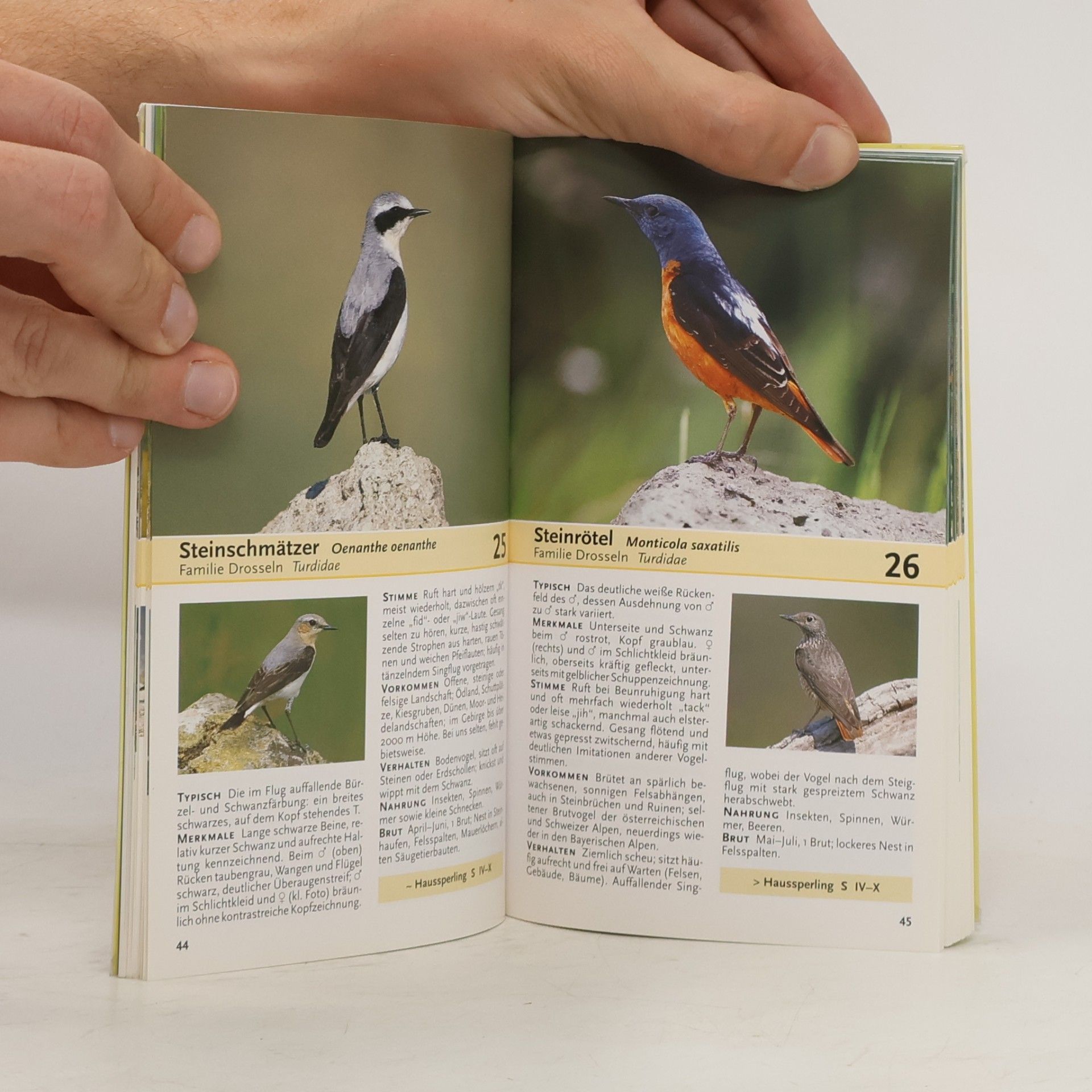 Autorenkollektiv Unsere Singvögel