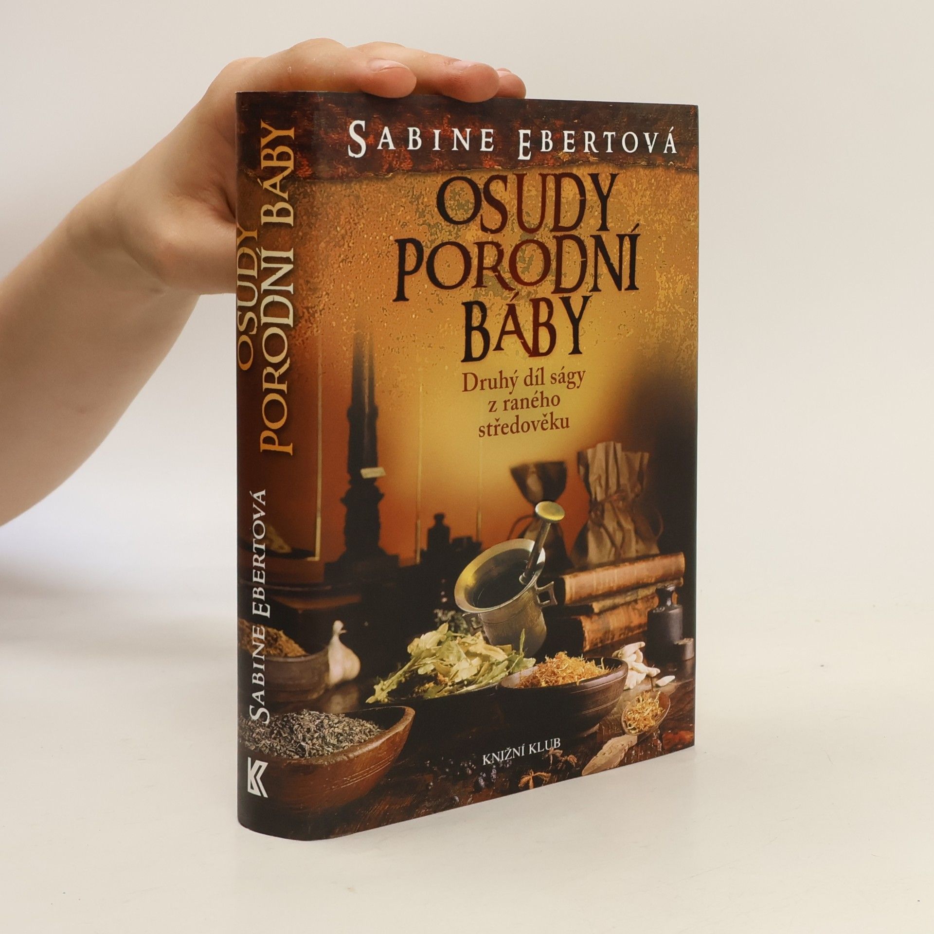 Sabine Ebert Osudy porodní báby