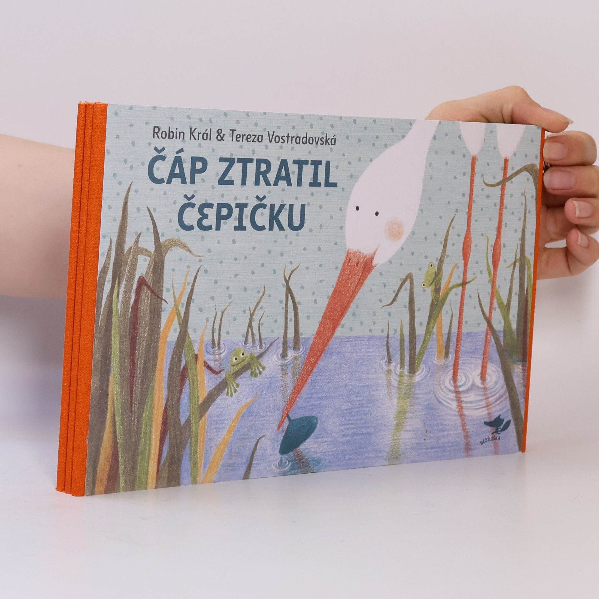Tereza Vostradovská Čáp ztratil čepičku
