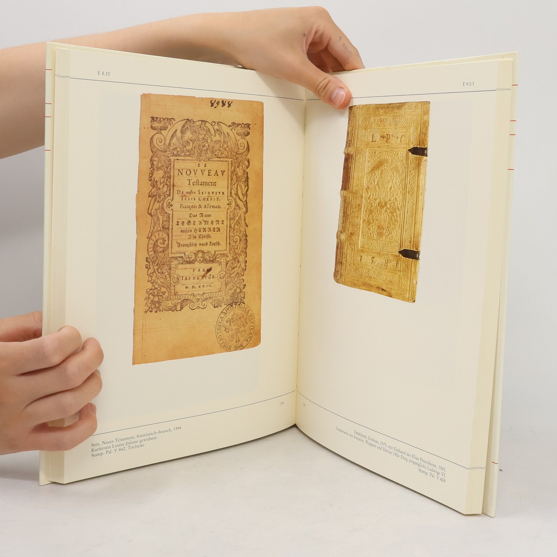 Autorenkollektiv Bibliotheca Palatina. Bildband