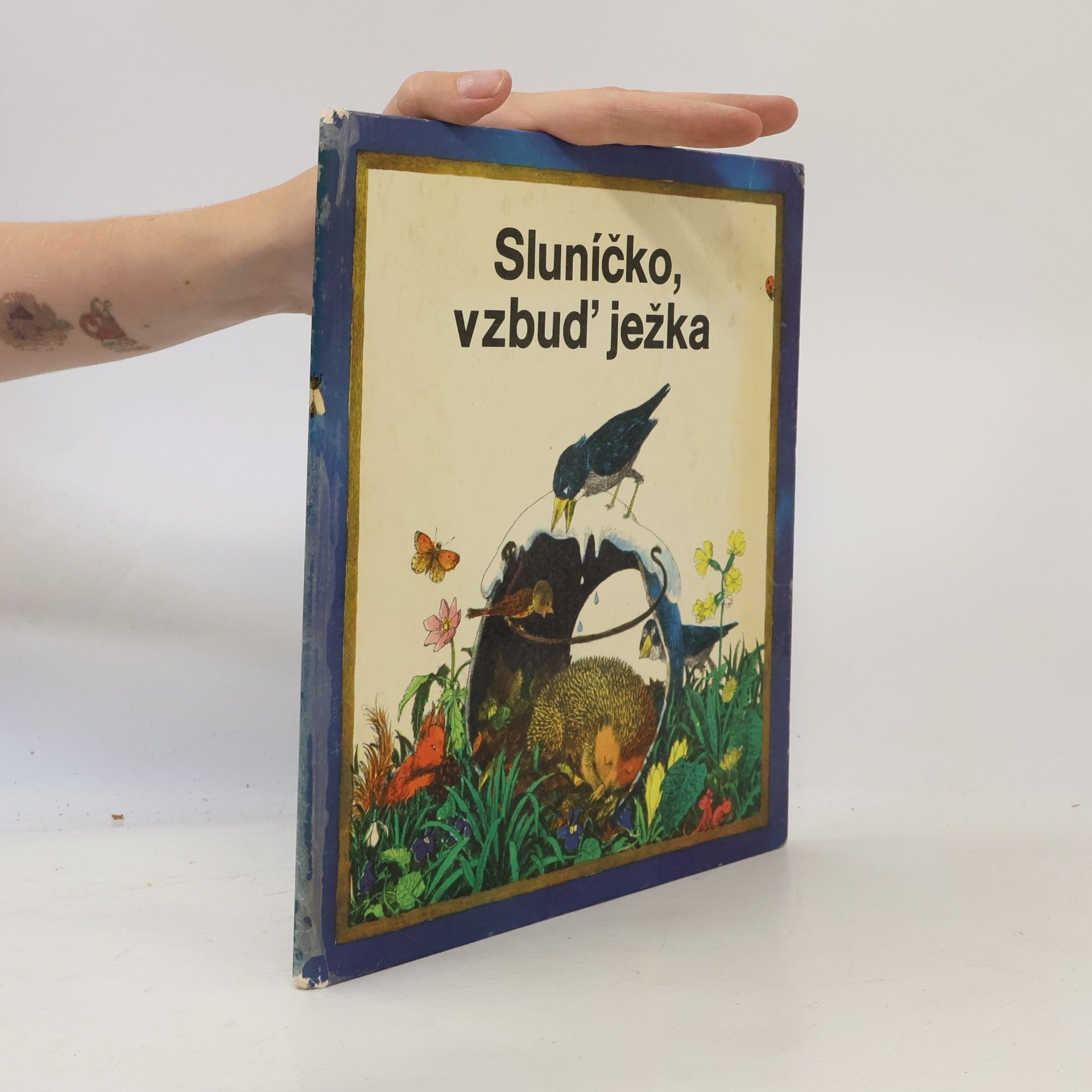 J. Berthová Sluníčko, vzbuď ježka