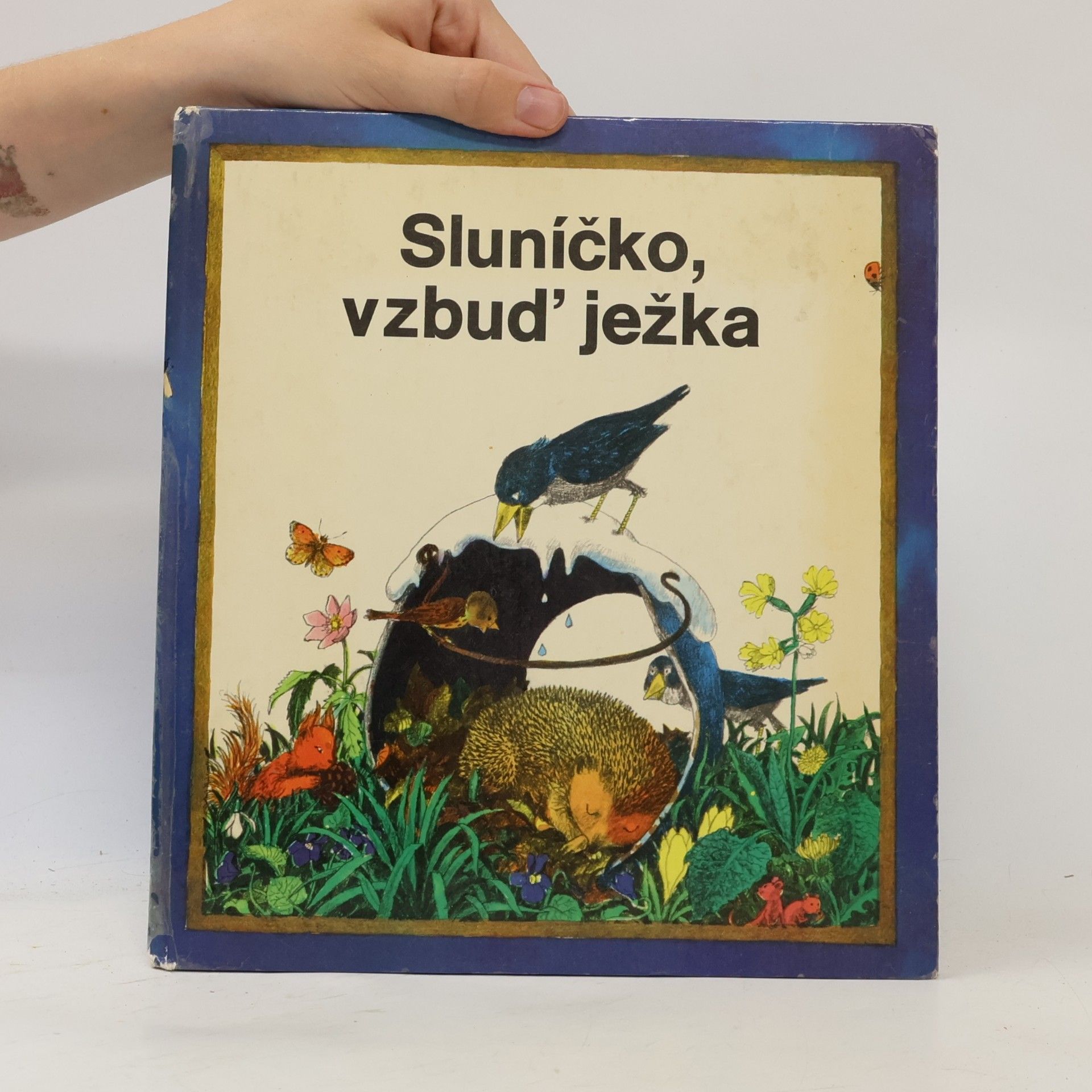 Alfred Koenner Sluníčko, vzbuď ježka