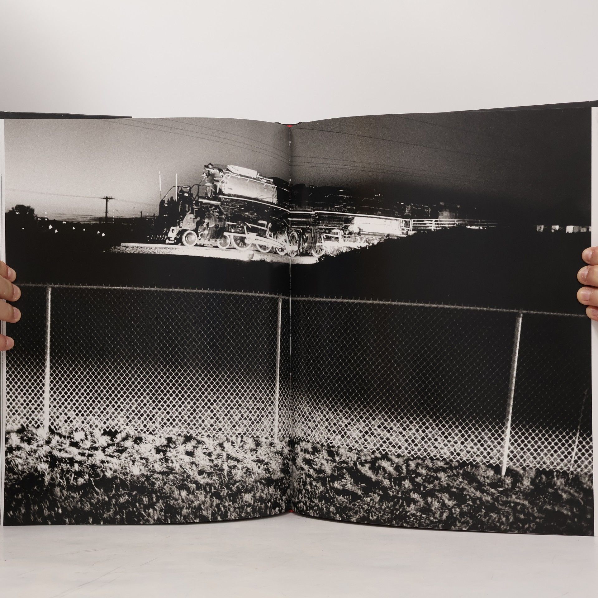 Helmut Newton Sex and landscapes