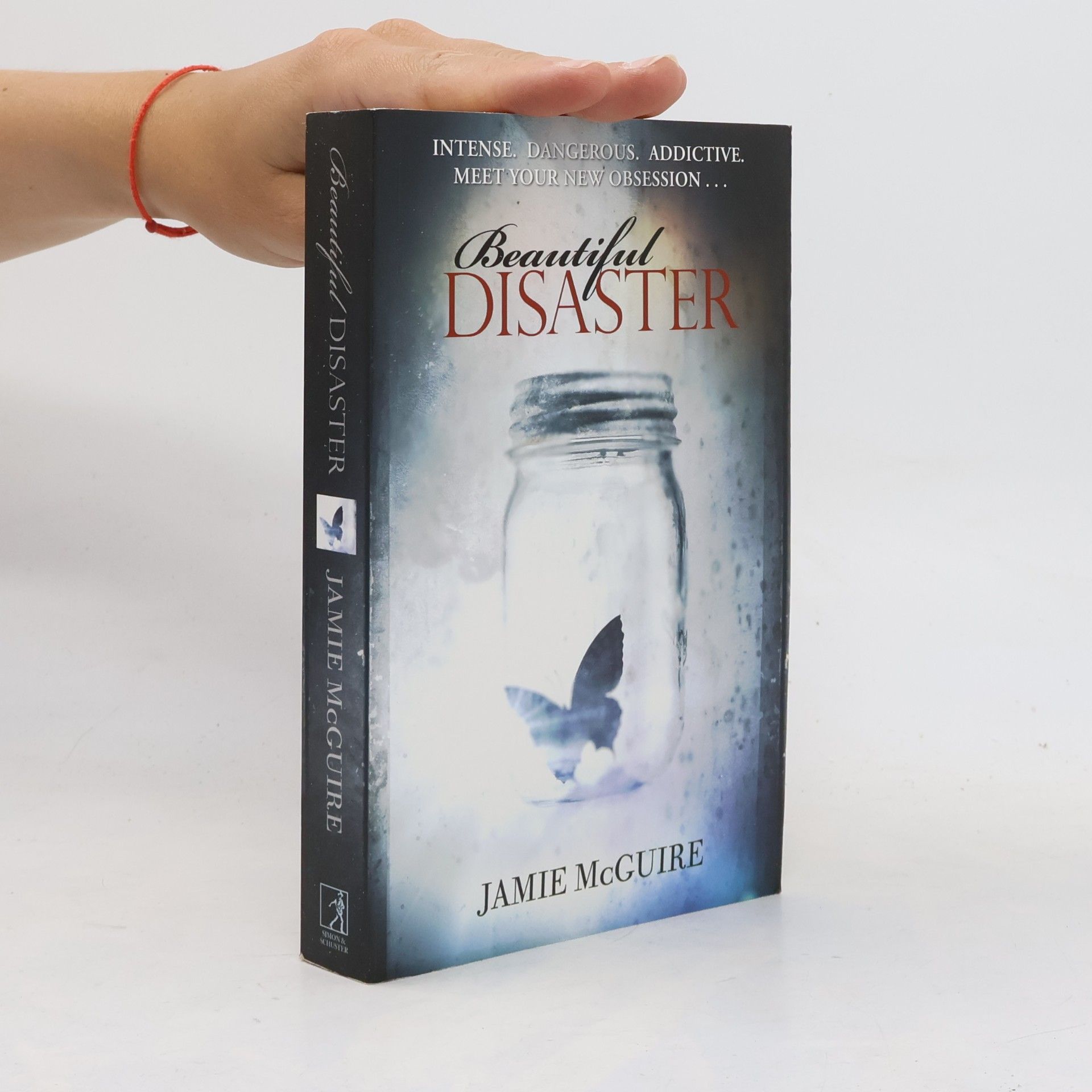 Jamie McGuire Beautiful Disaster