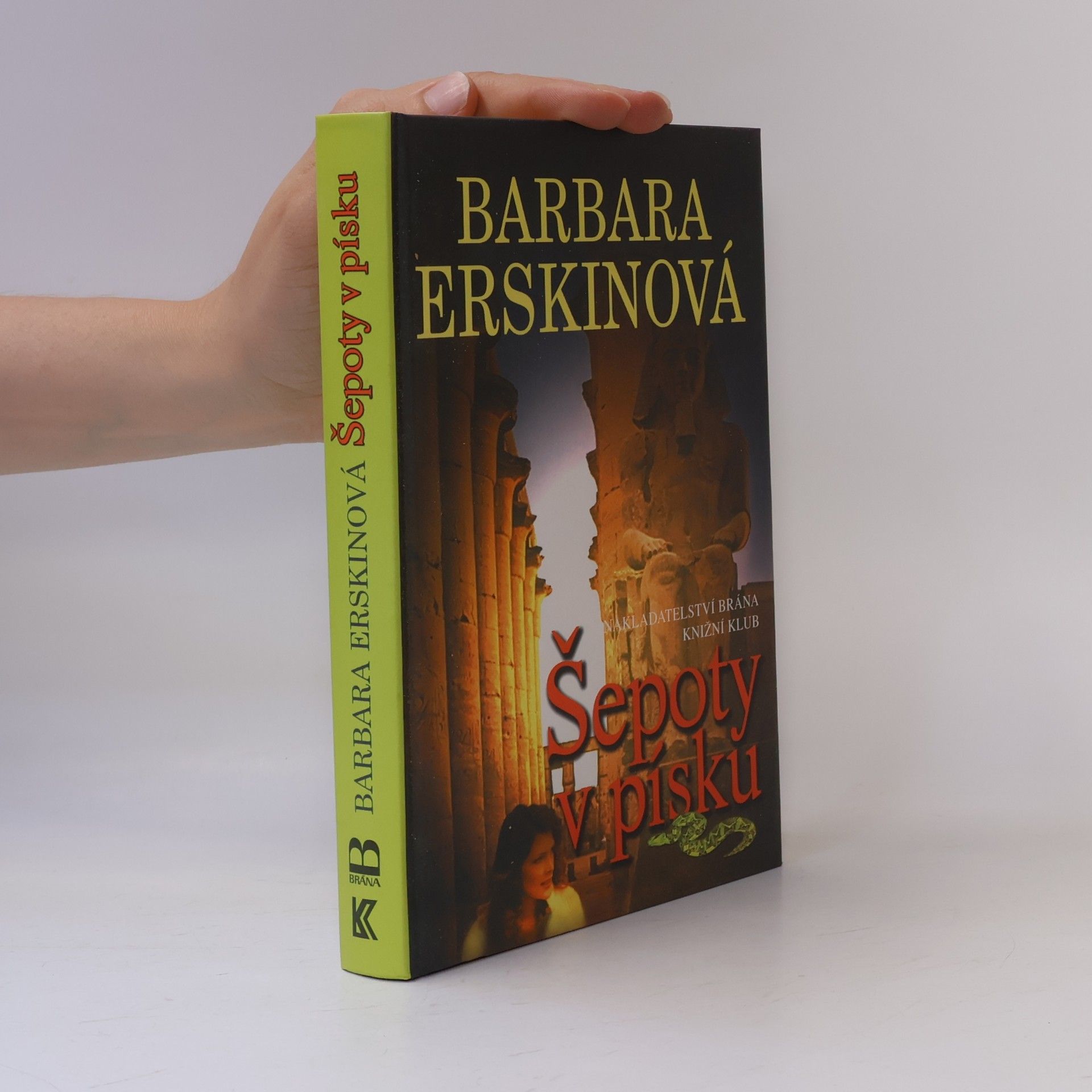 Barbara Erskine Šepoty v písku