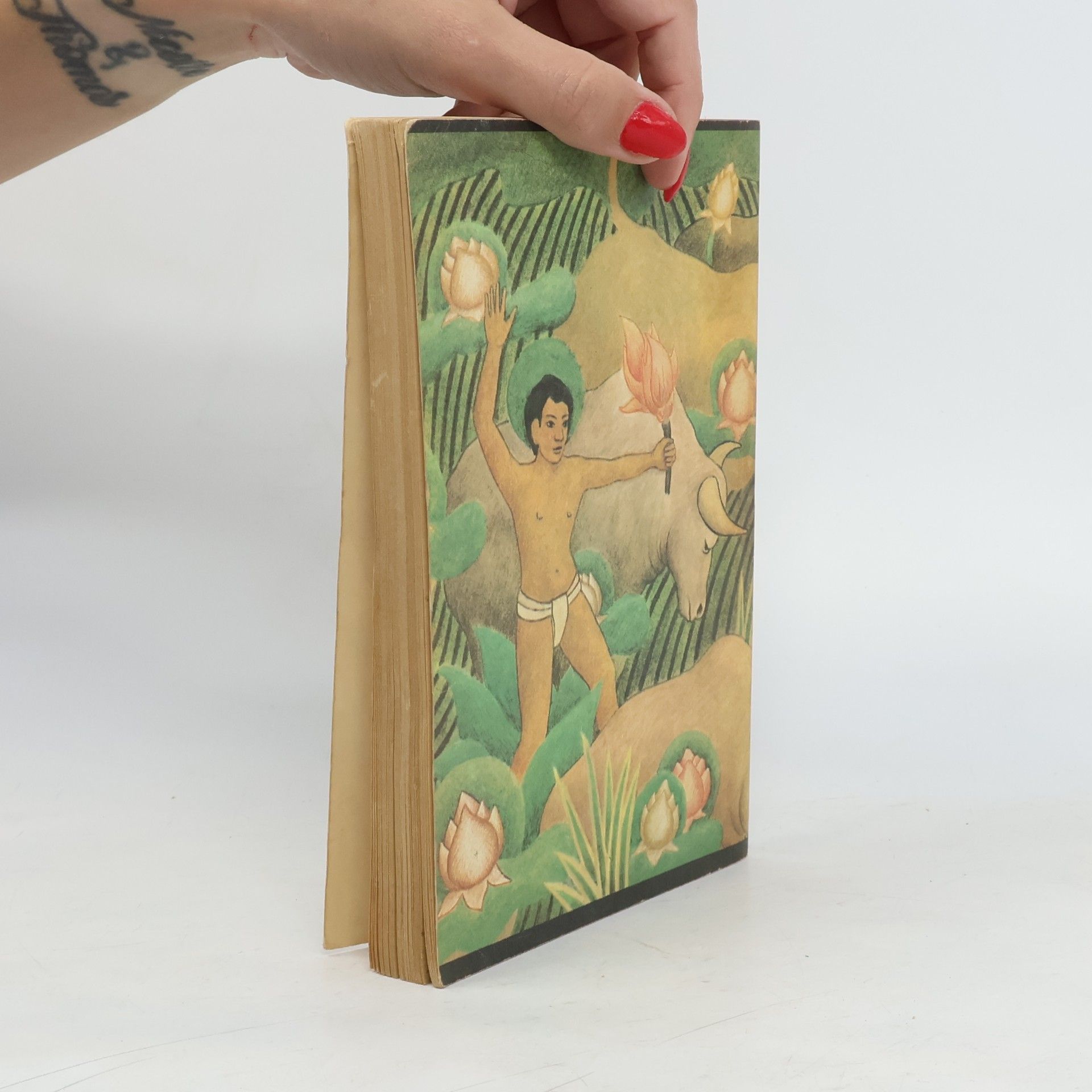 Rudyard Kipling Das Dschungelbuch