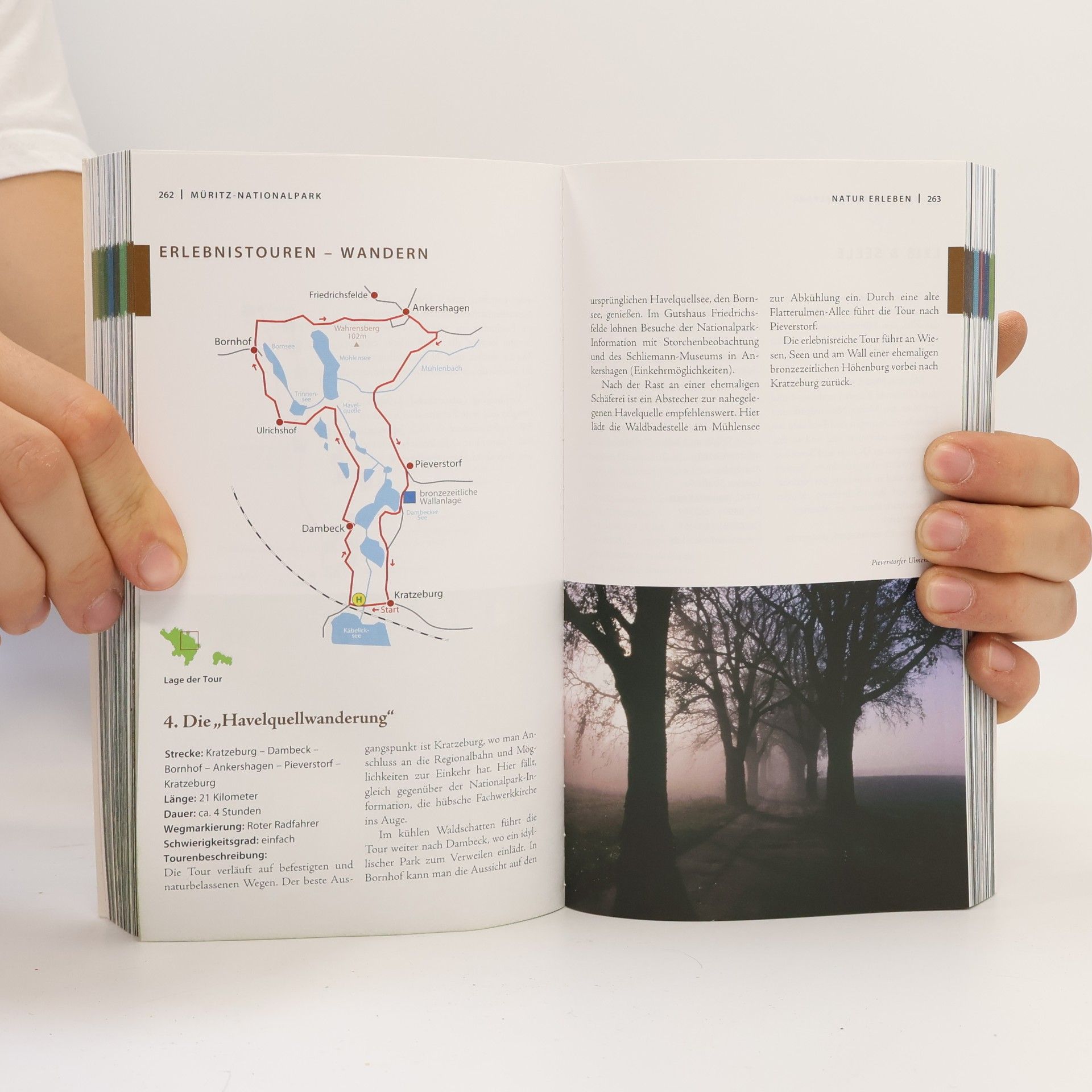Autorenkollektiv Natur erleben
