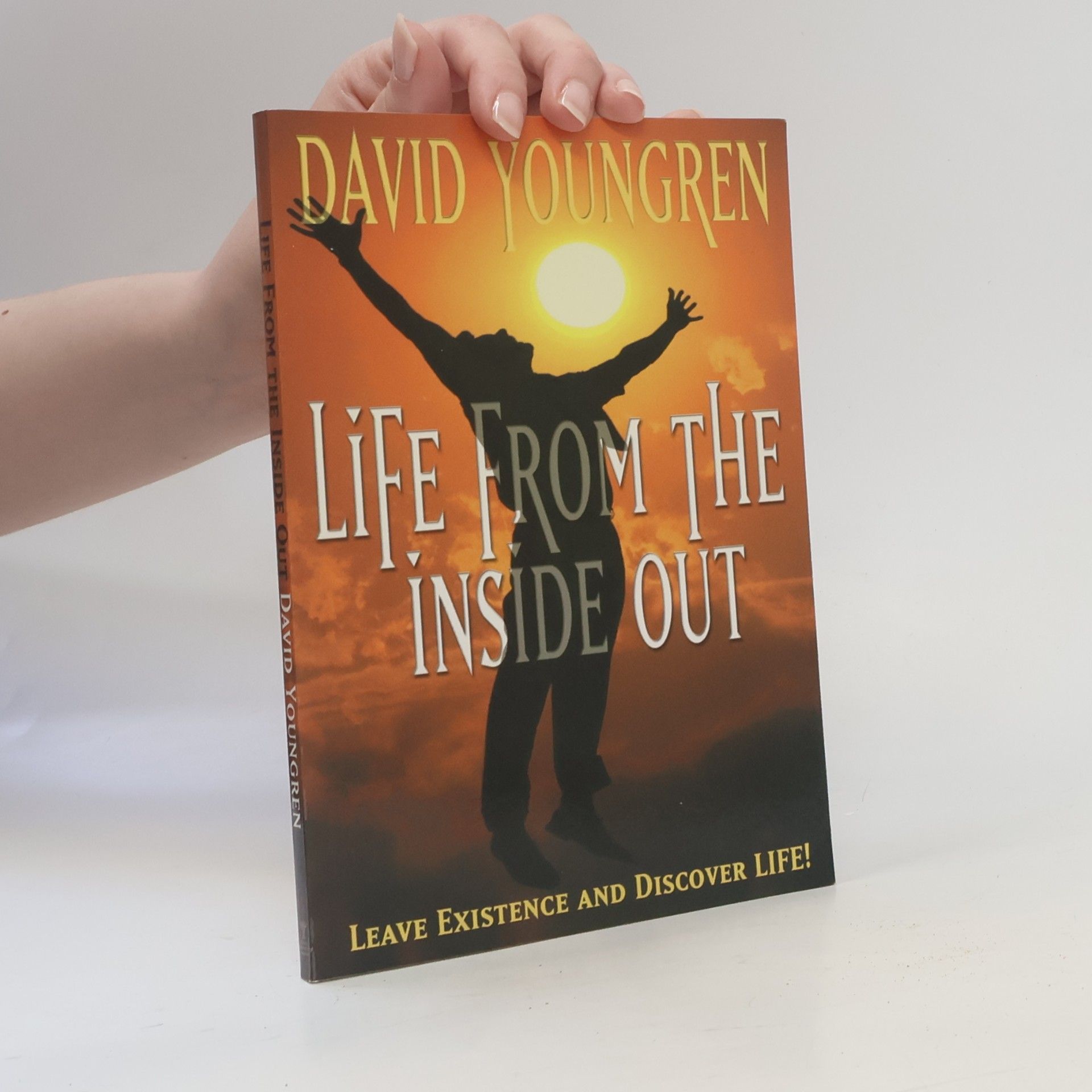 David Youngren Life From The Inside Out