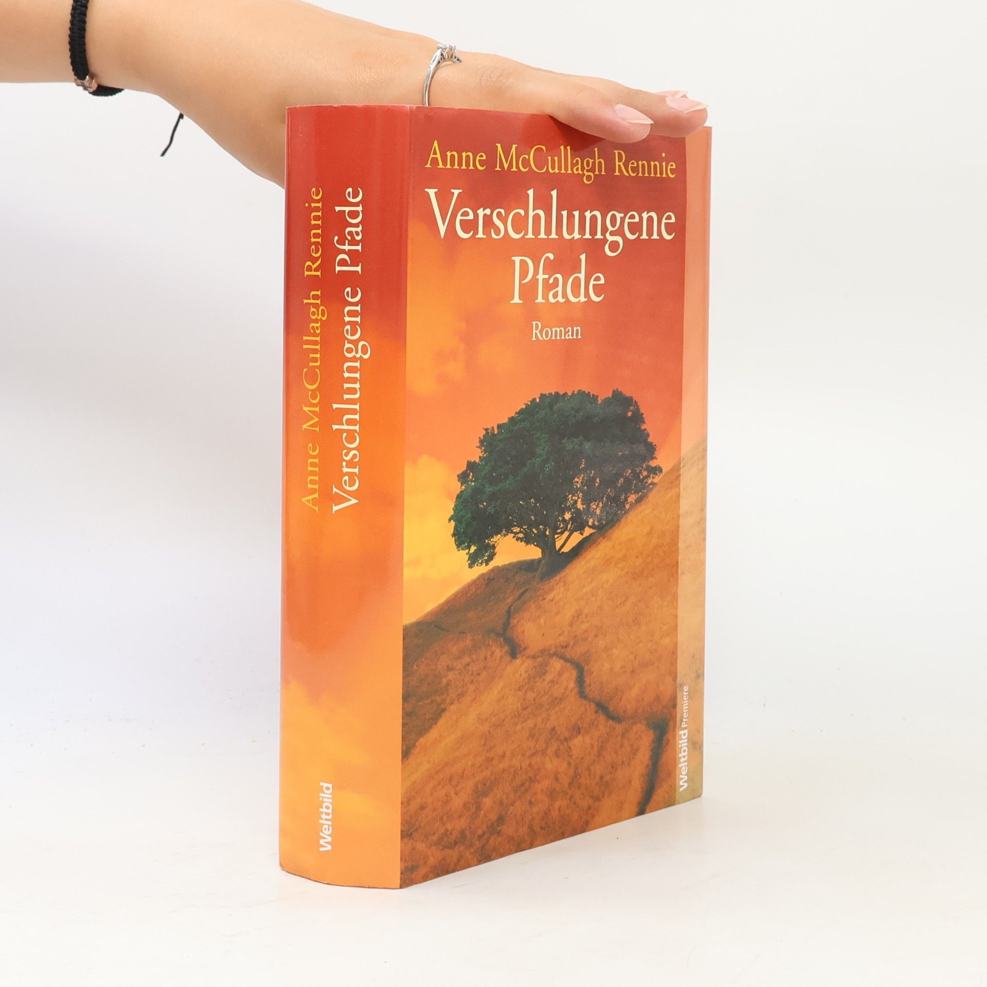 Anne McCullagh Rennie Verschlungene Pfade