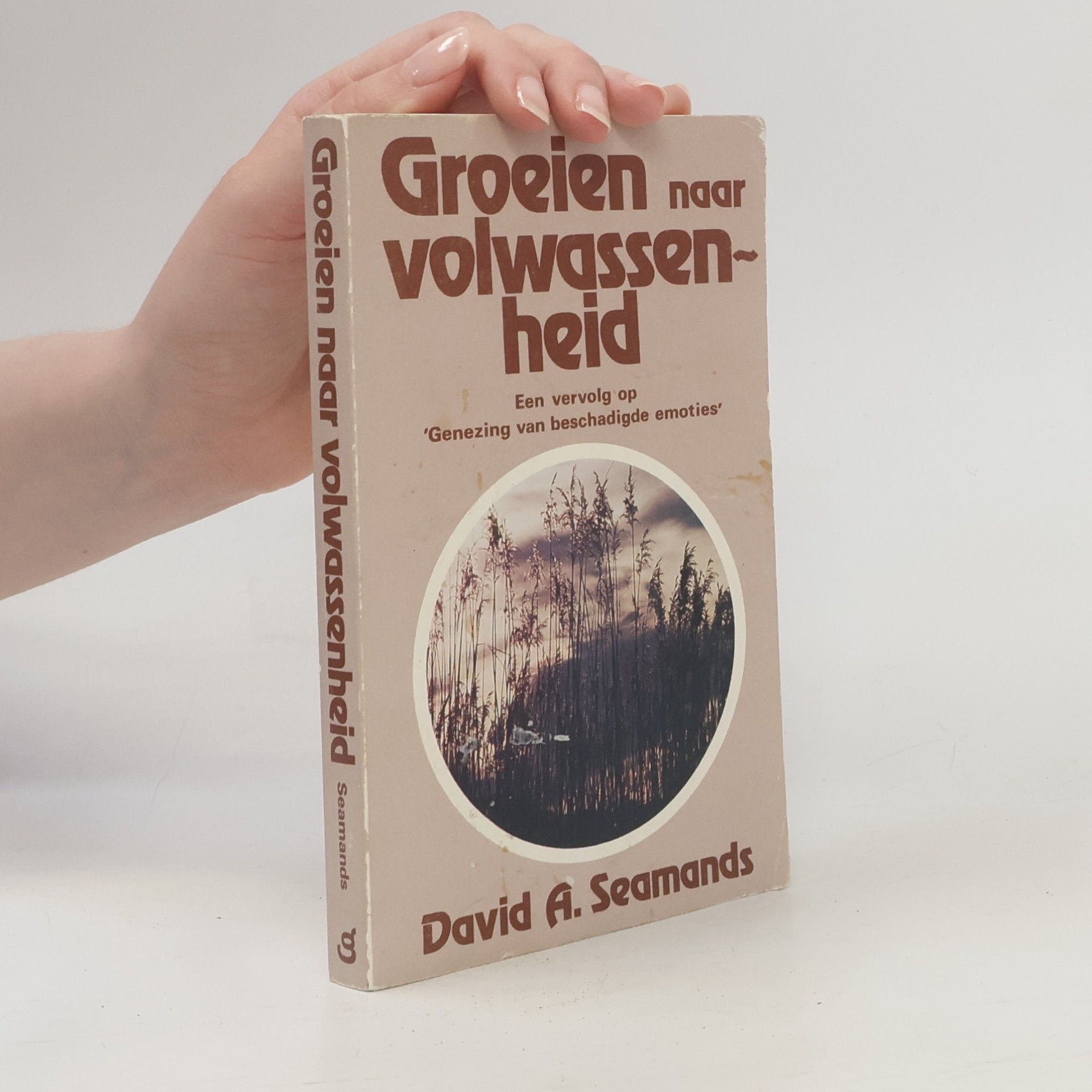 David A. Seamands Groeien naar volwassenheid
