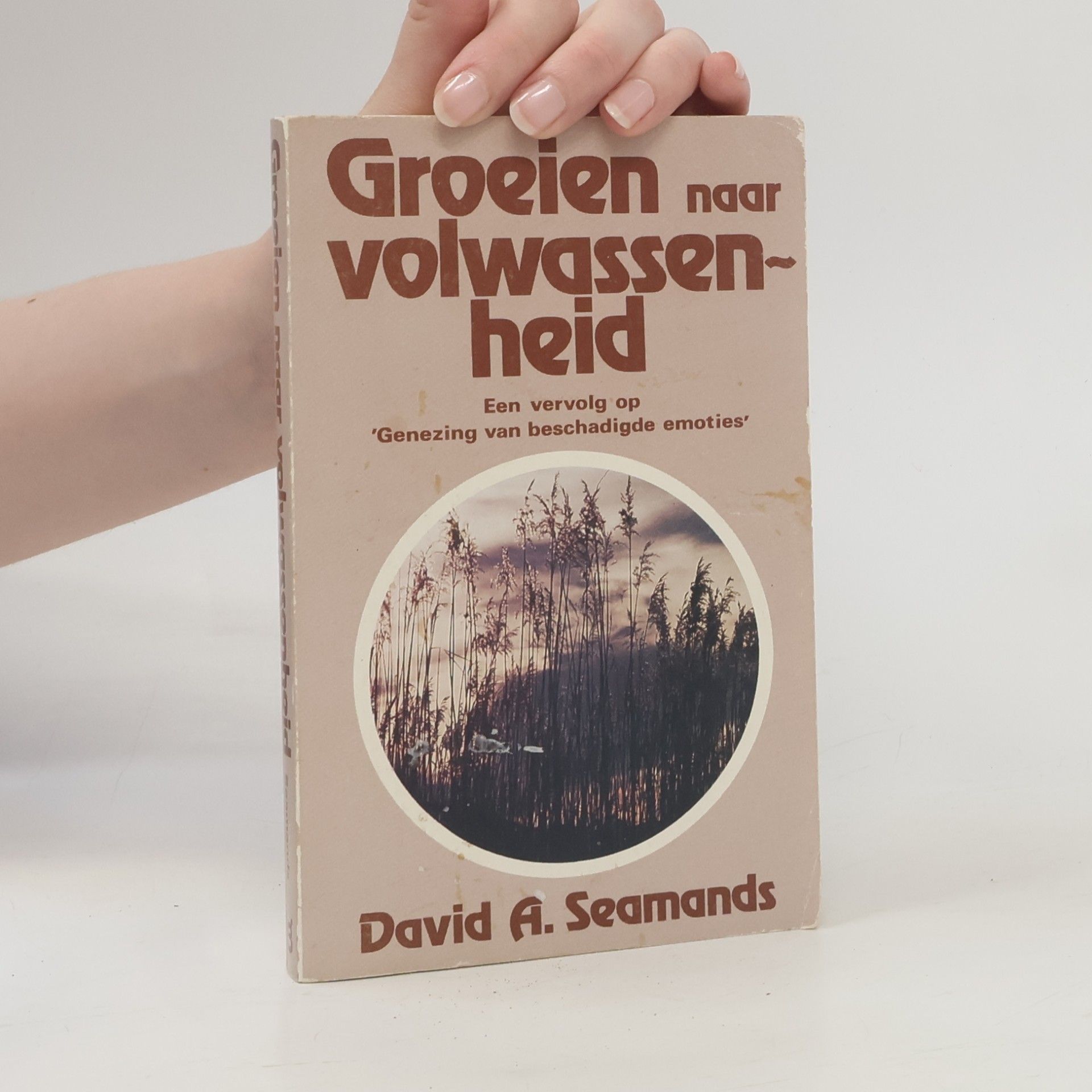 David A. Seamands Groeien naar volwassenheid