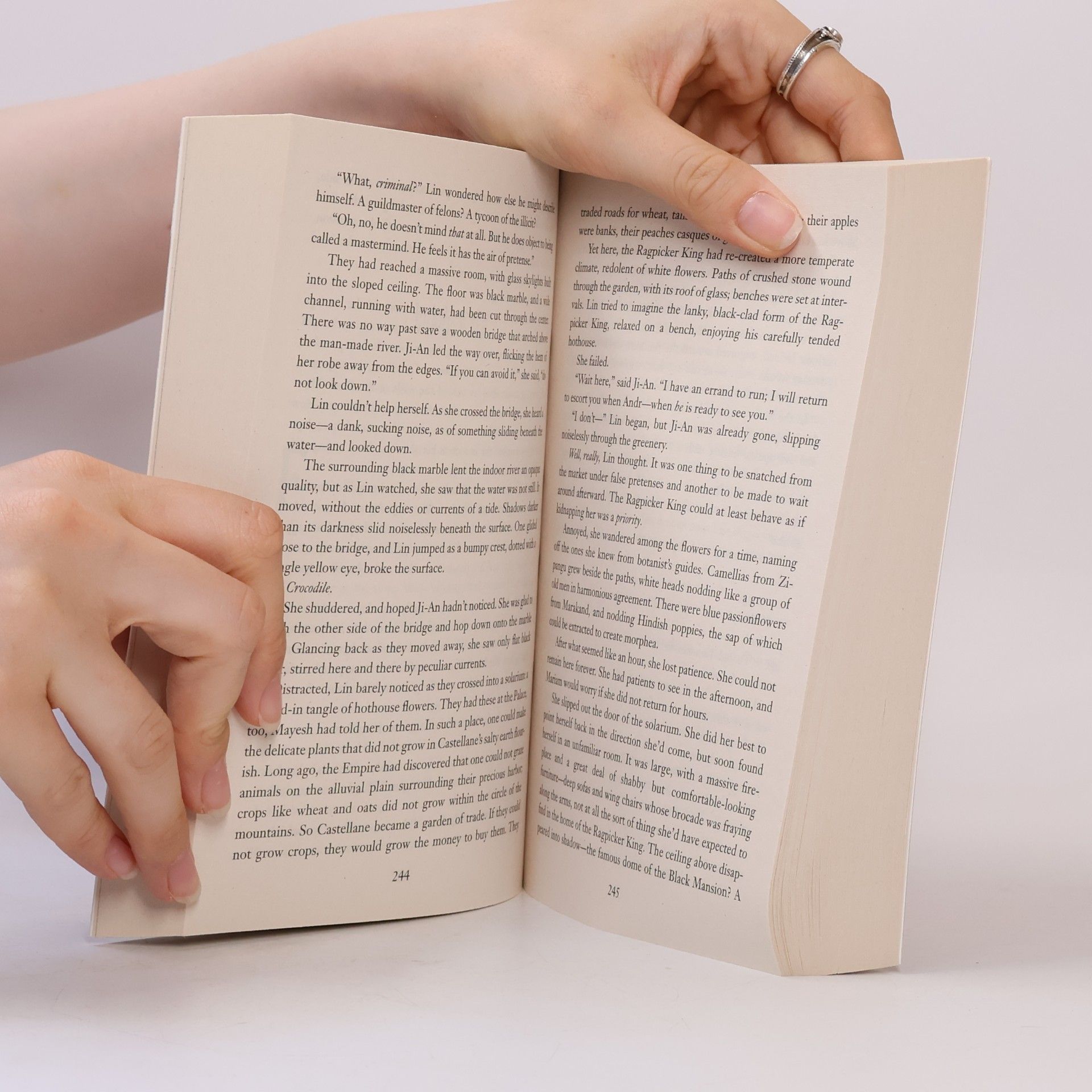 Cassandra Clare Sword Catcher