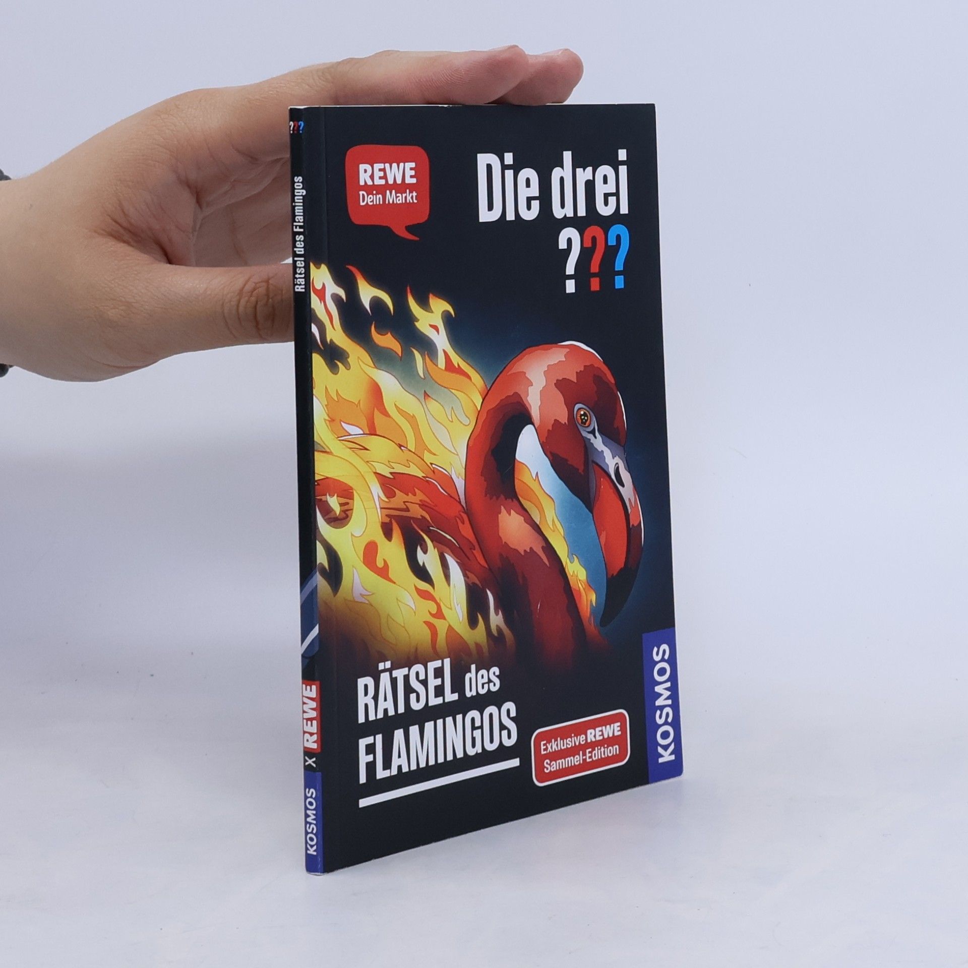 Andreas Ruch Die drei??? Rätsel des Flamingos