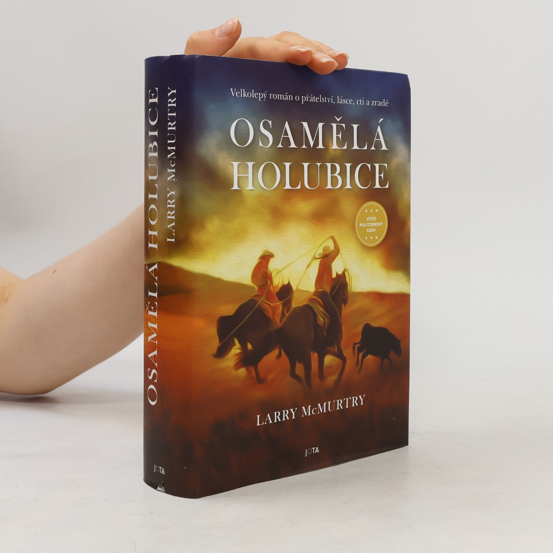 Osamělá holubice