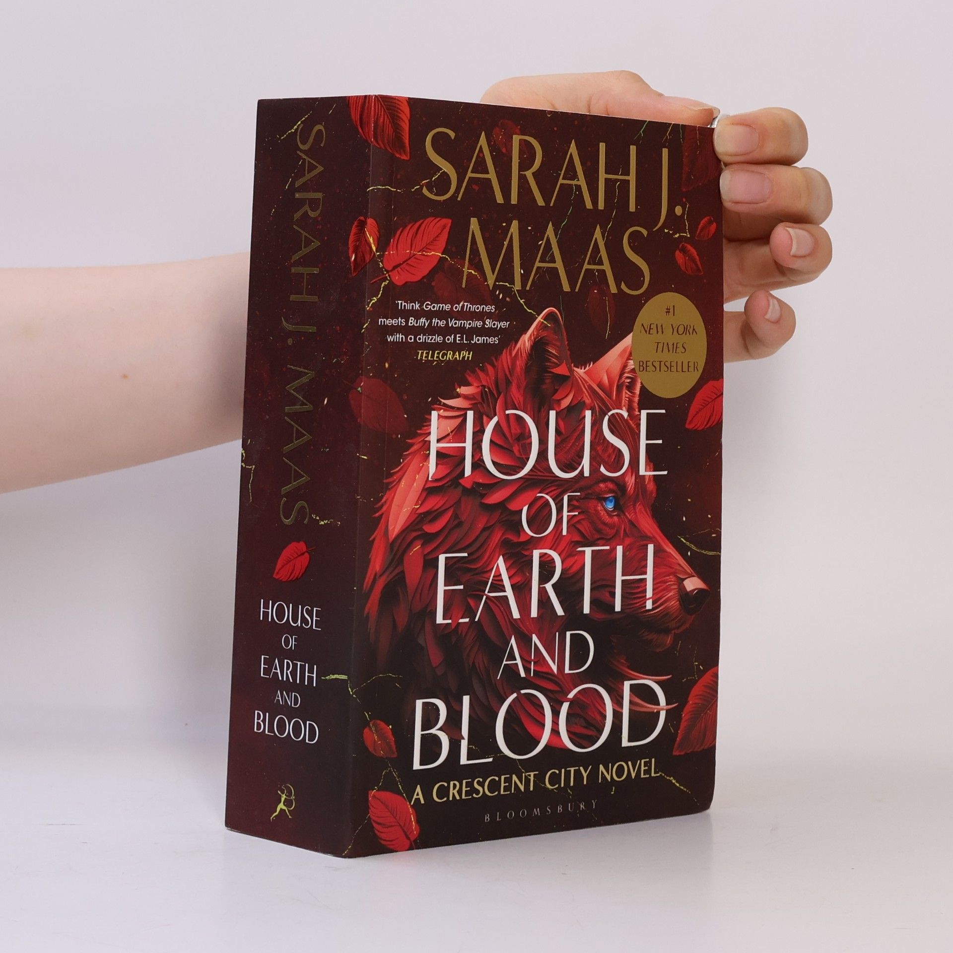 Sarah J. Maas House of Earth and Blood
