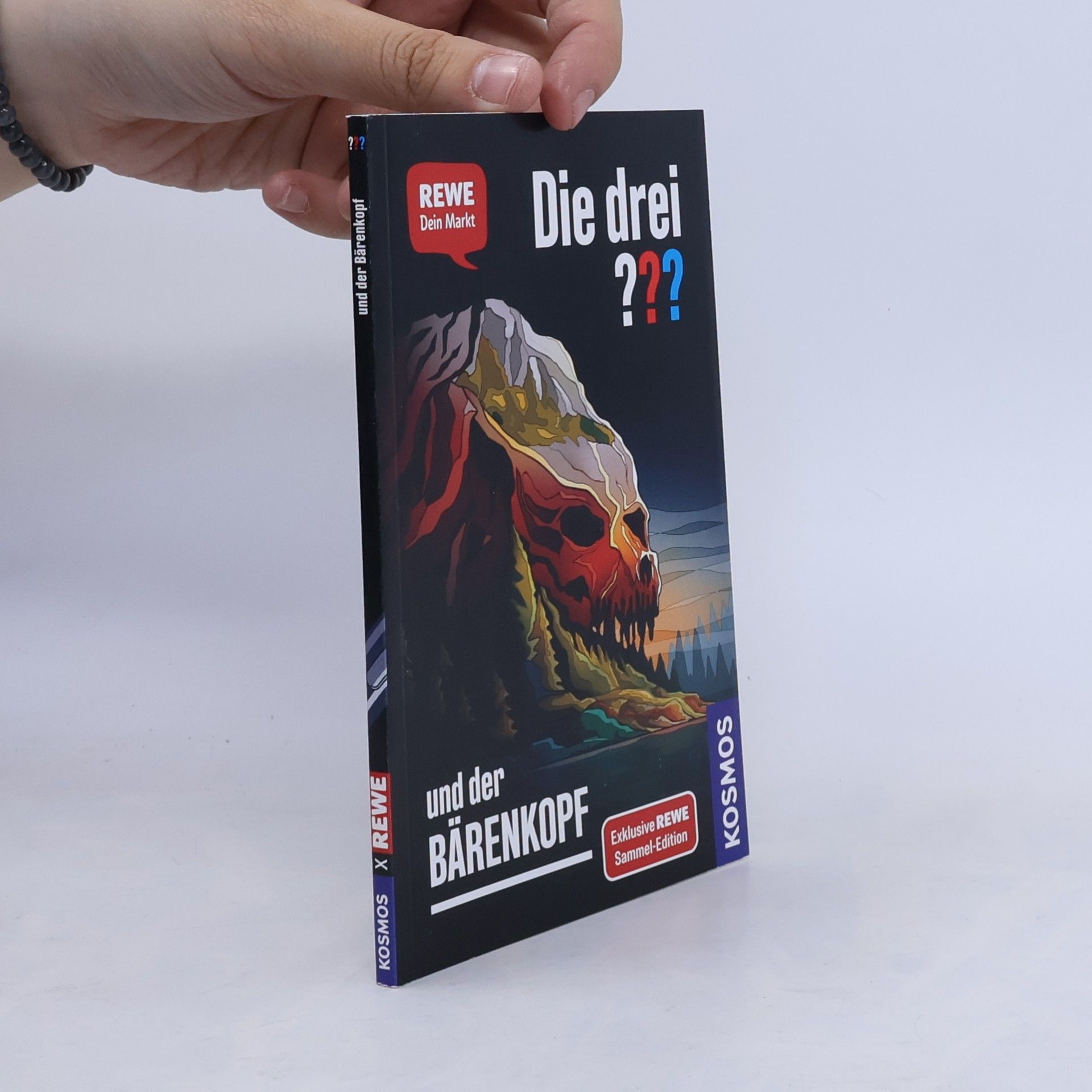Andreas Ruch Die drei ??? und der Bärenkopf