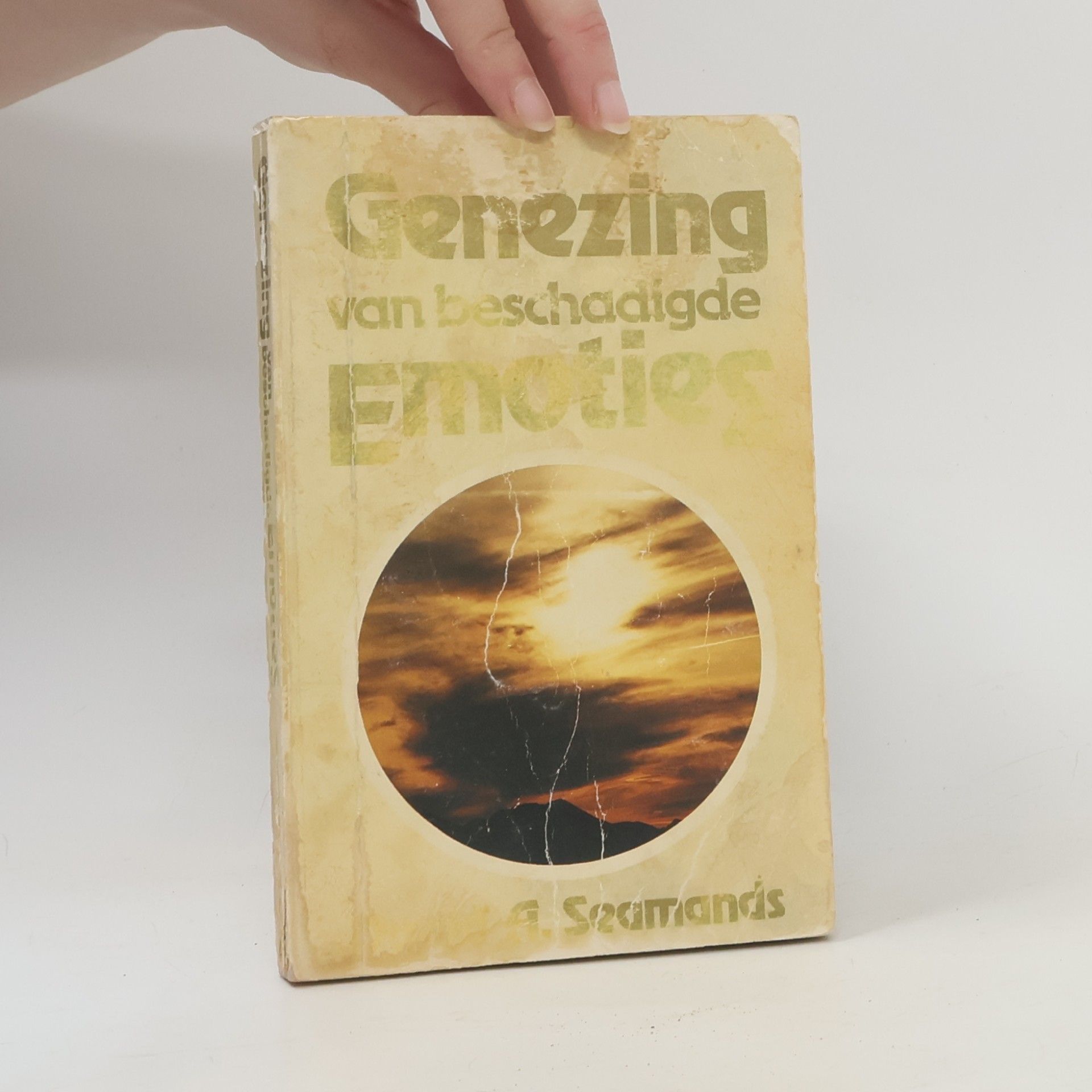 David A. Seamands Genezing van beschadigde emoties