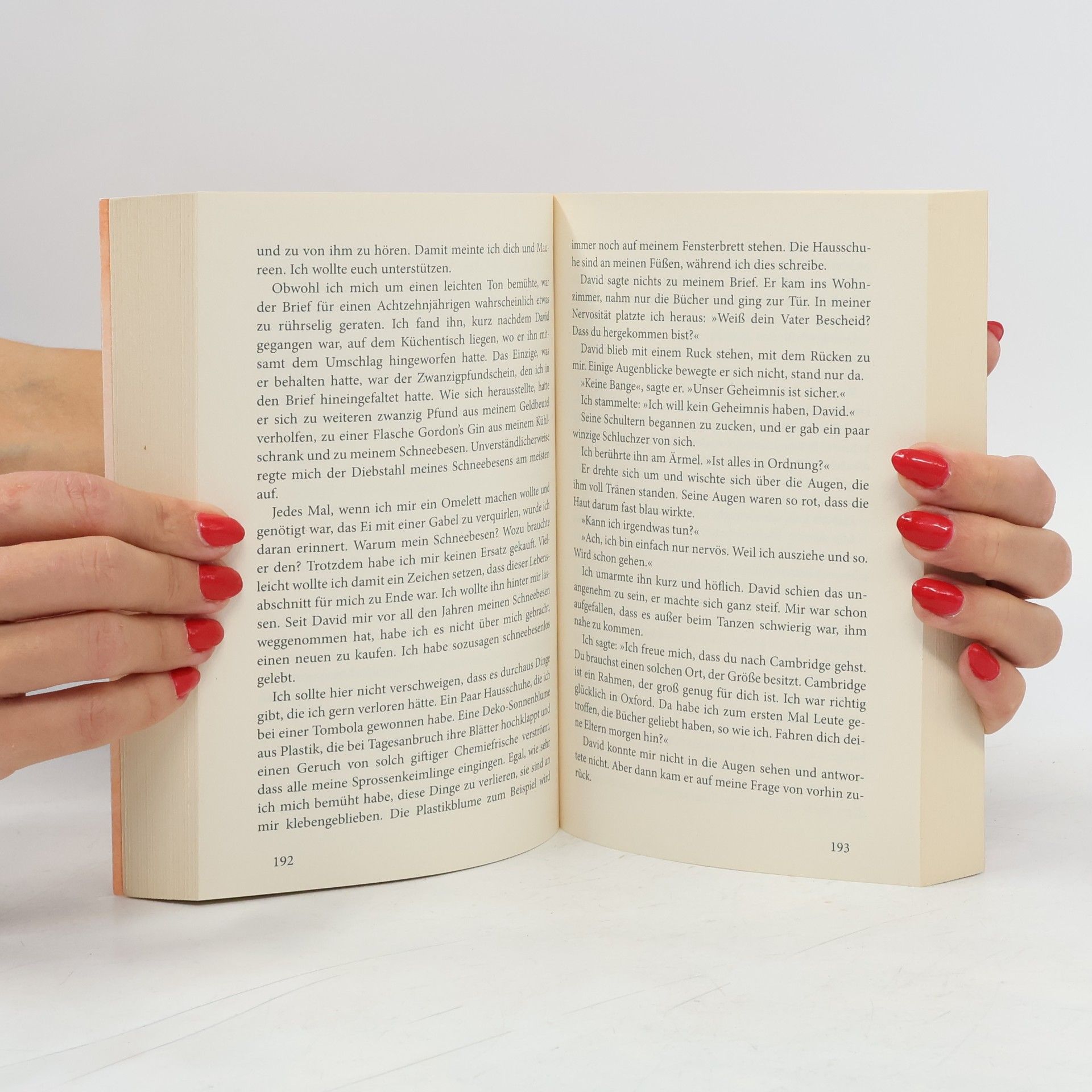 Rachel Joyce Das Geheimnis der Queenie Hennessy