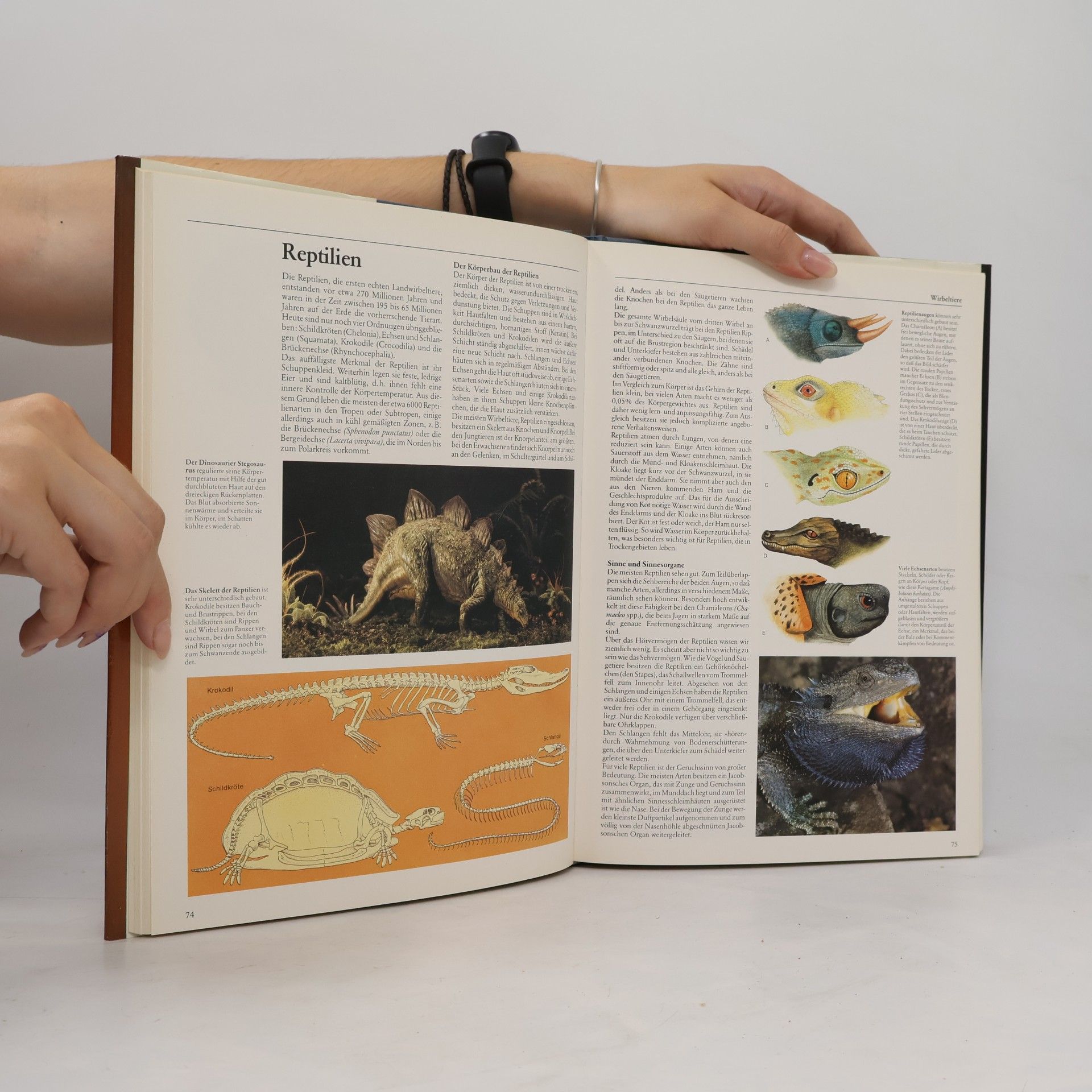 Various authors Die Tiere. Entwicklung, Arten, Lebensräume
