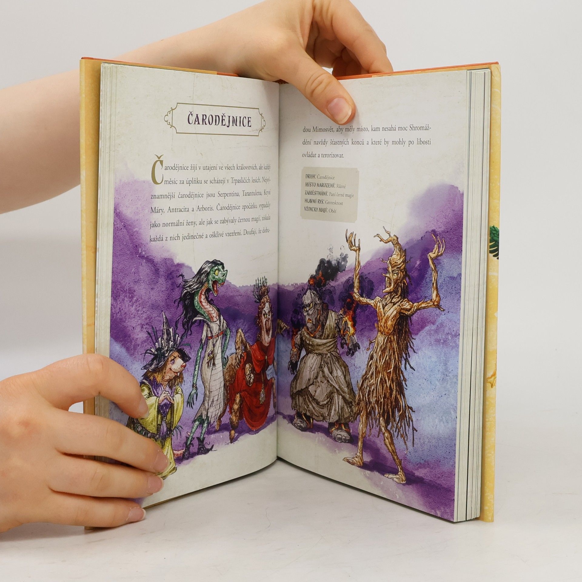 Chris Colfer Země příběhů – speciální průvodce