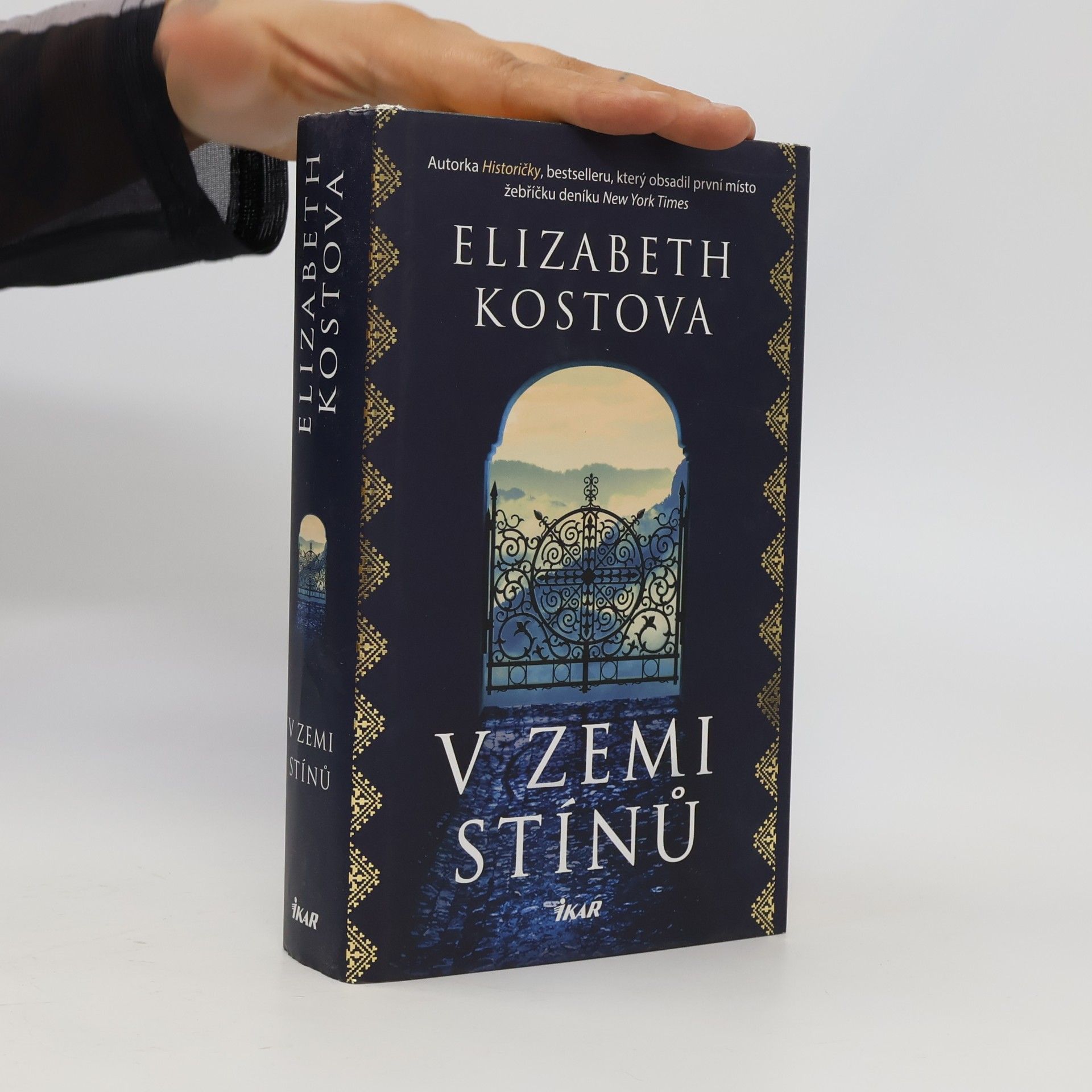 Elizabeth Kostova V zemi stínů