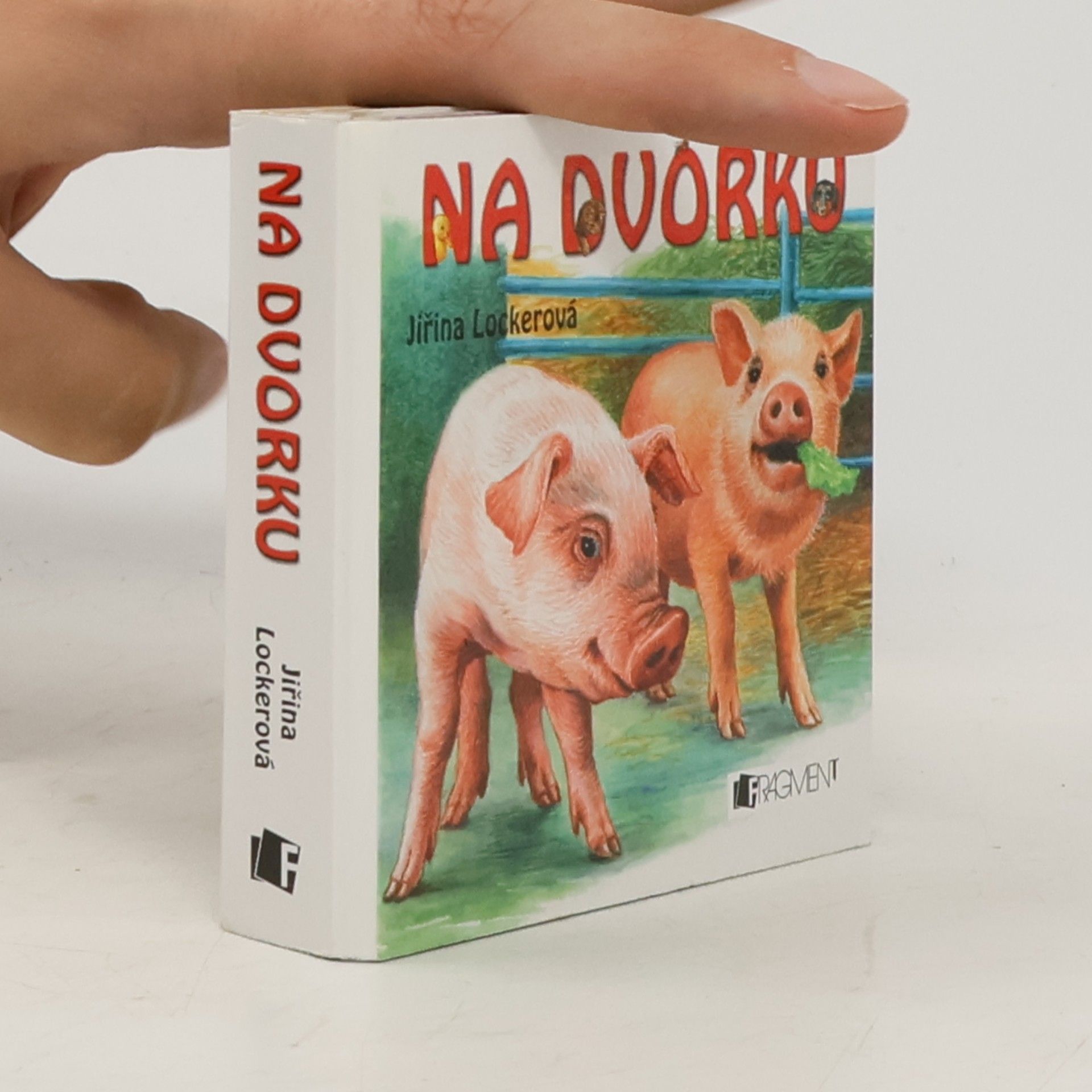 Jiřina Lockerová Na dvorku