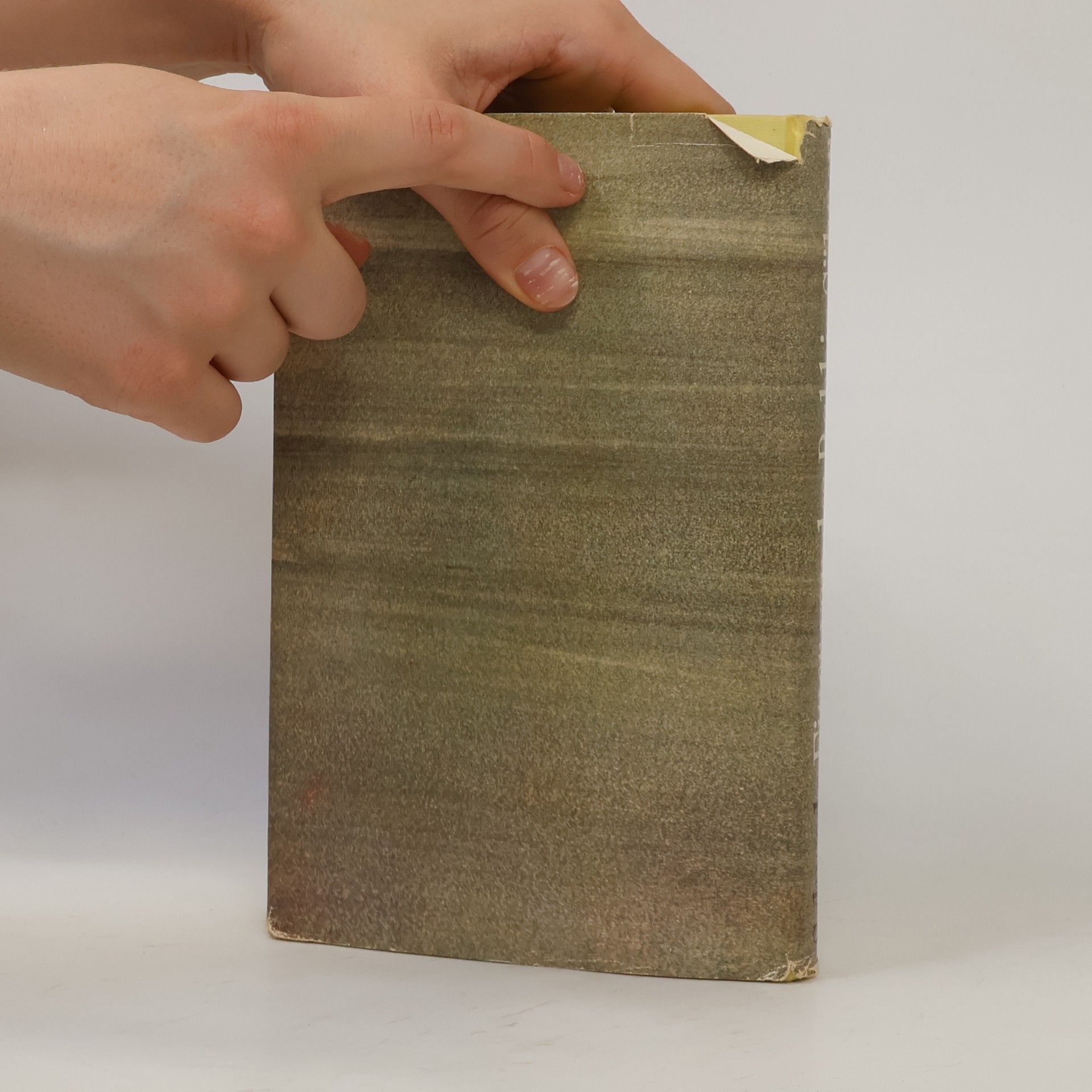 Alfred Otto Schwede Einer von des Rabbis Söhnen
