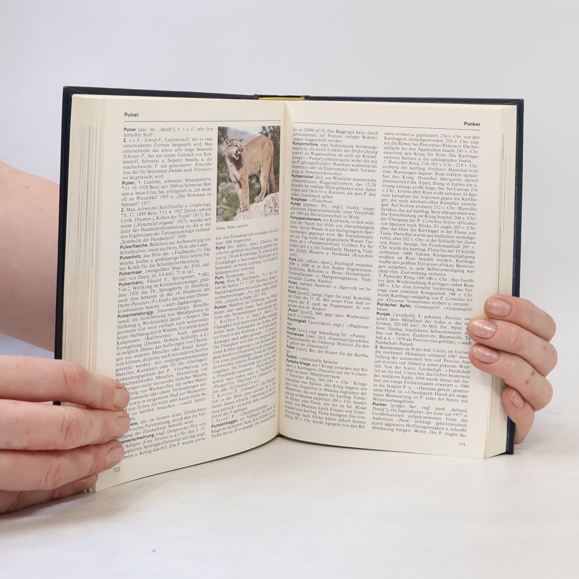 Autorenkollektiv Bertelsmann Universal Lexikon 14. Pfr-Renc