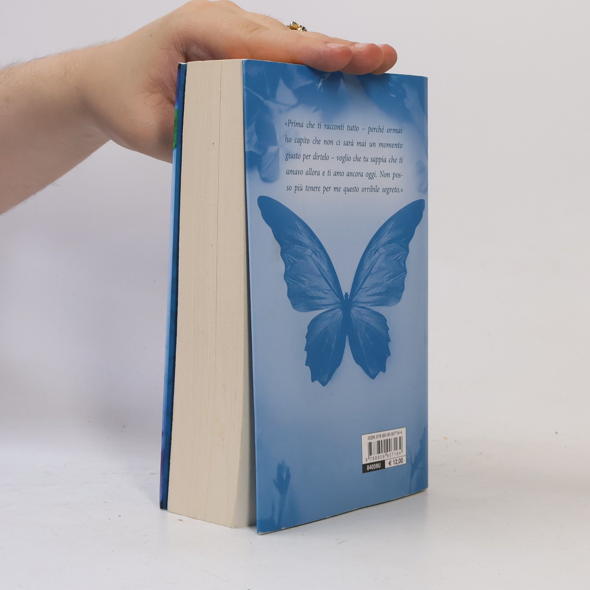Lucinda Riley La stanza delle farfalle