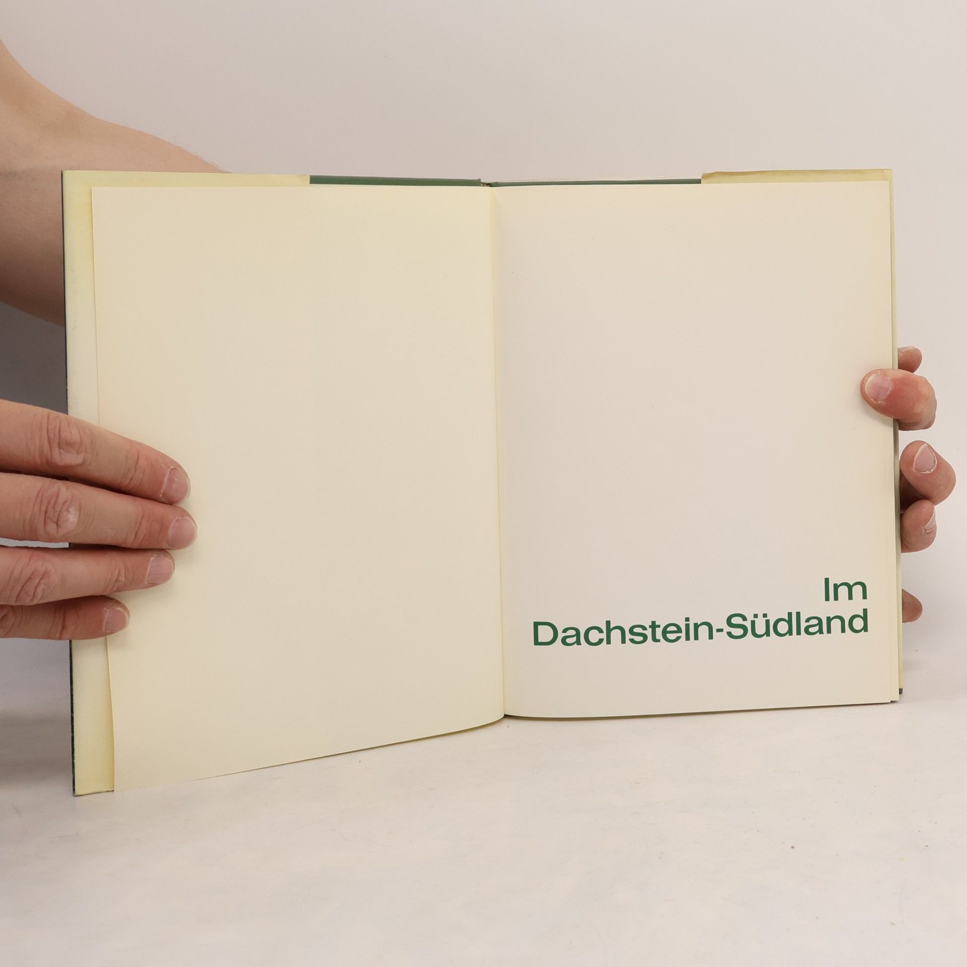 Erwin Putz Im Dachstein Südland