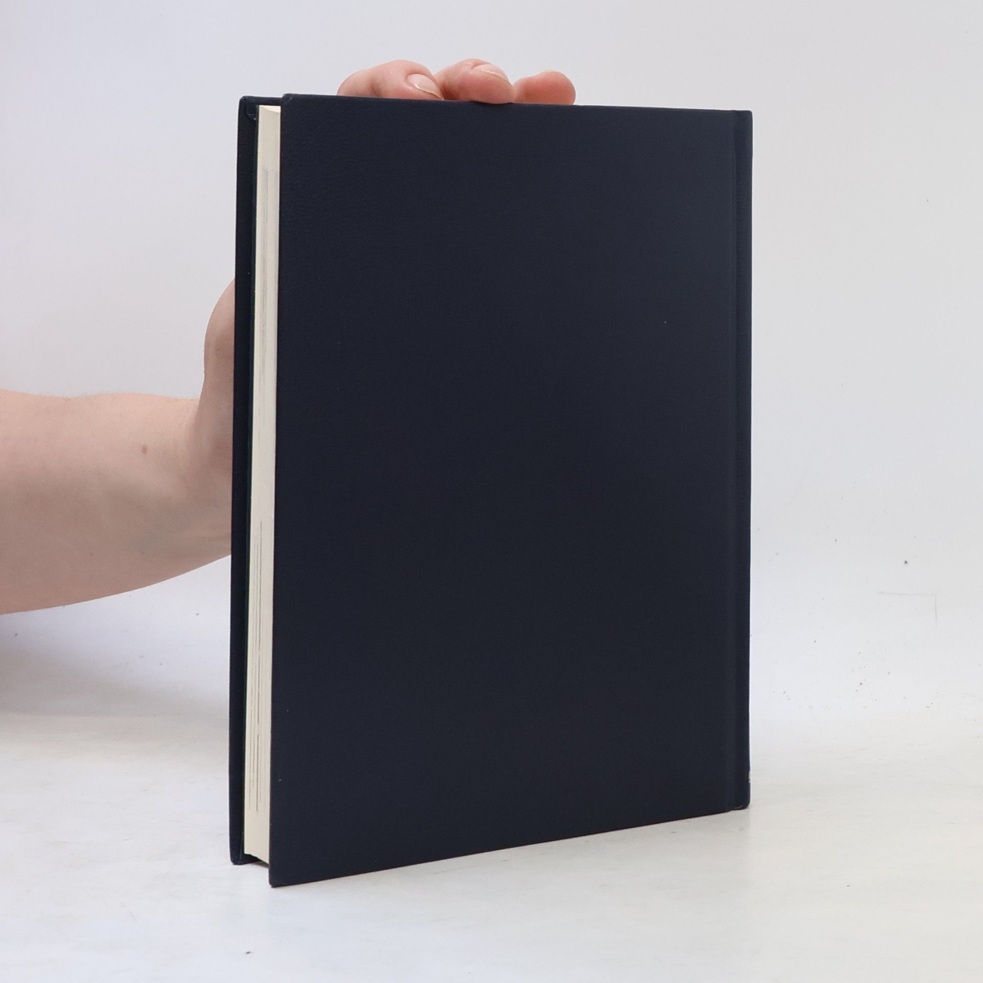 Autorenkollektiv Bertelsmann Universal Lexikon 13. Nizz-Pfo