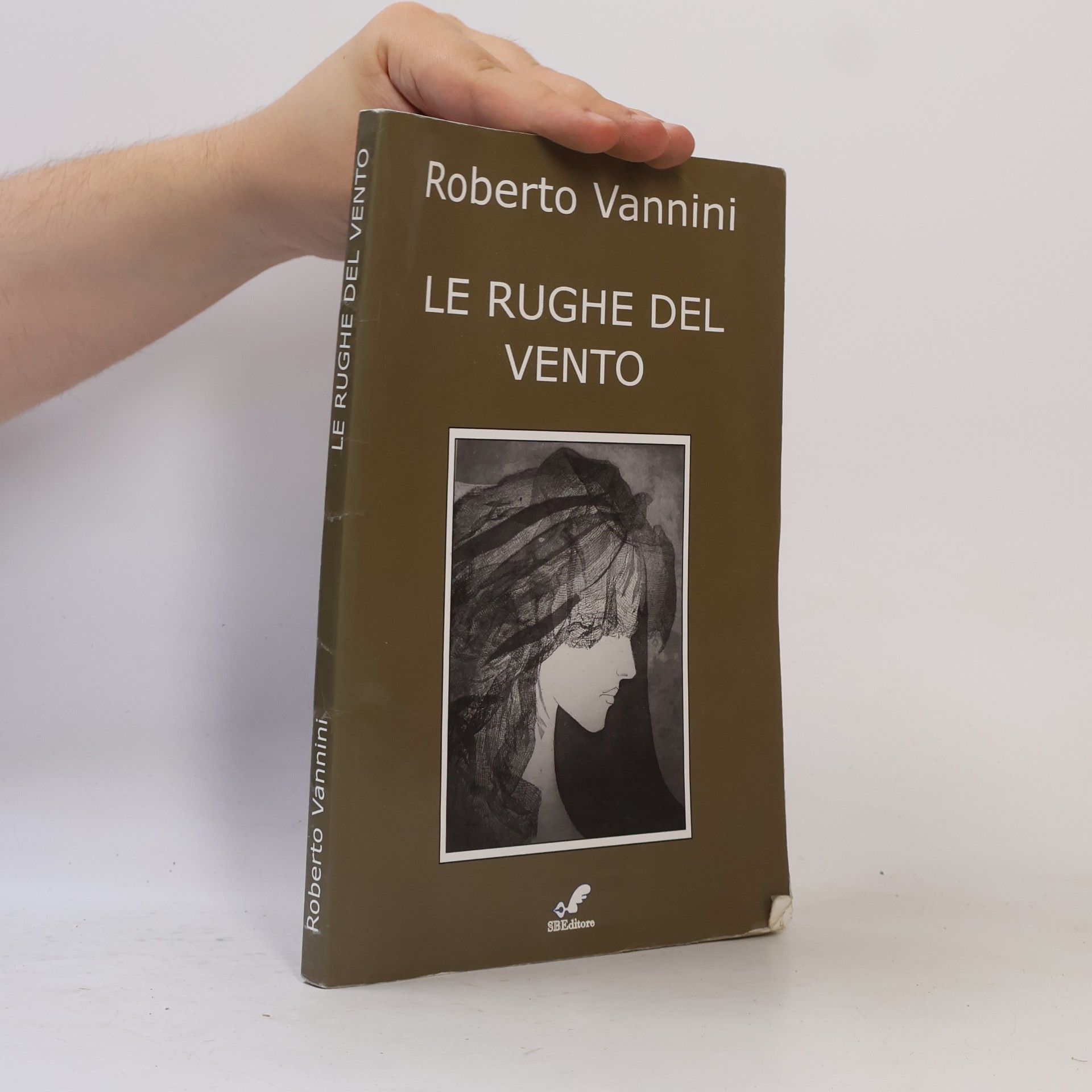Roberto Vannini Le rughe del vento