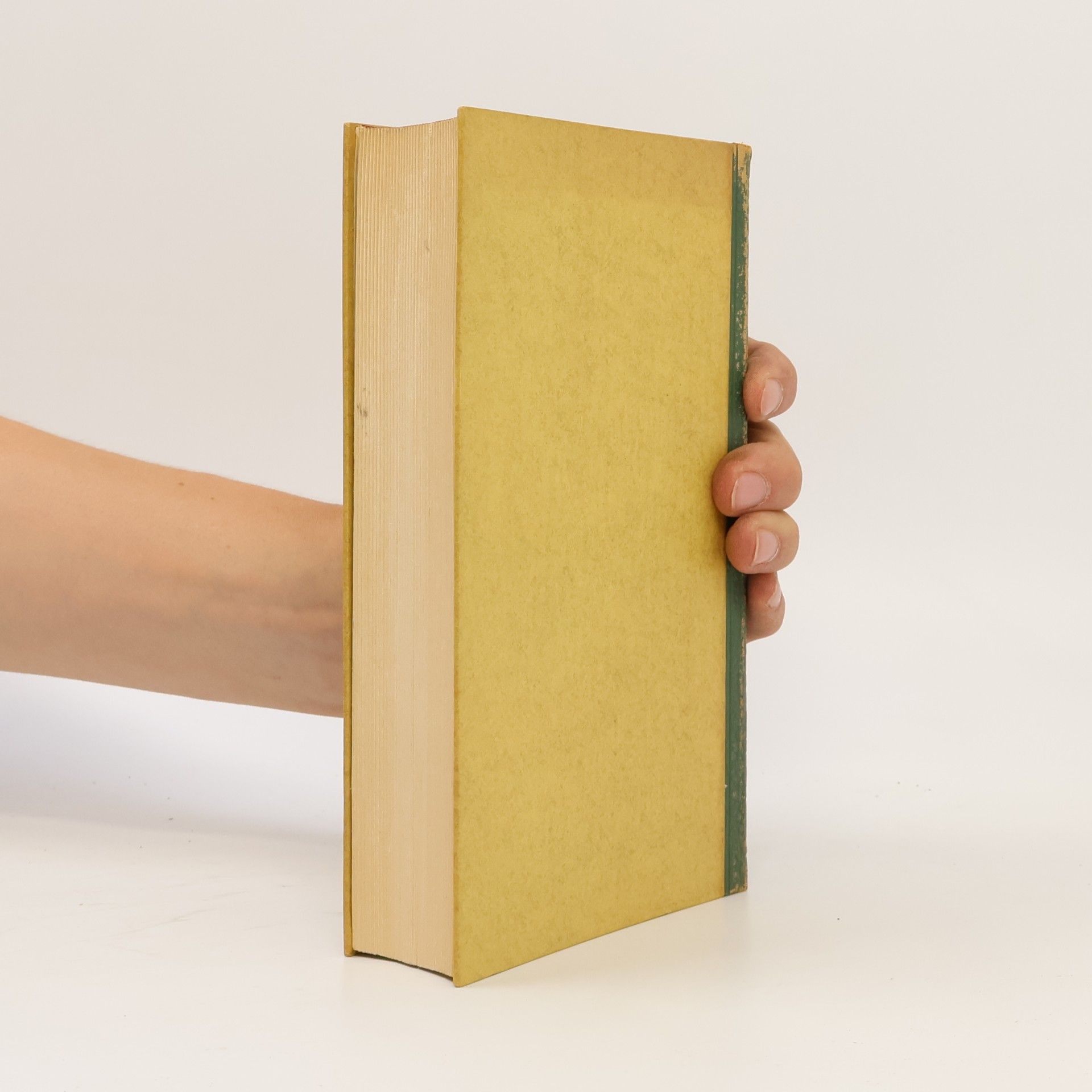 Hans Grimm Die Südafrikanischen Novellen