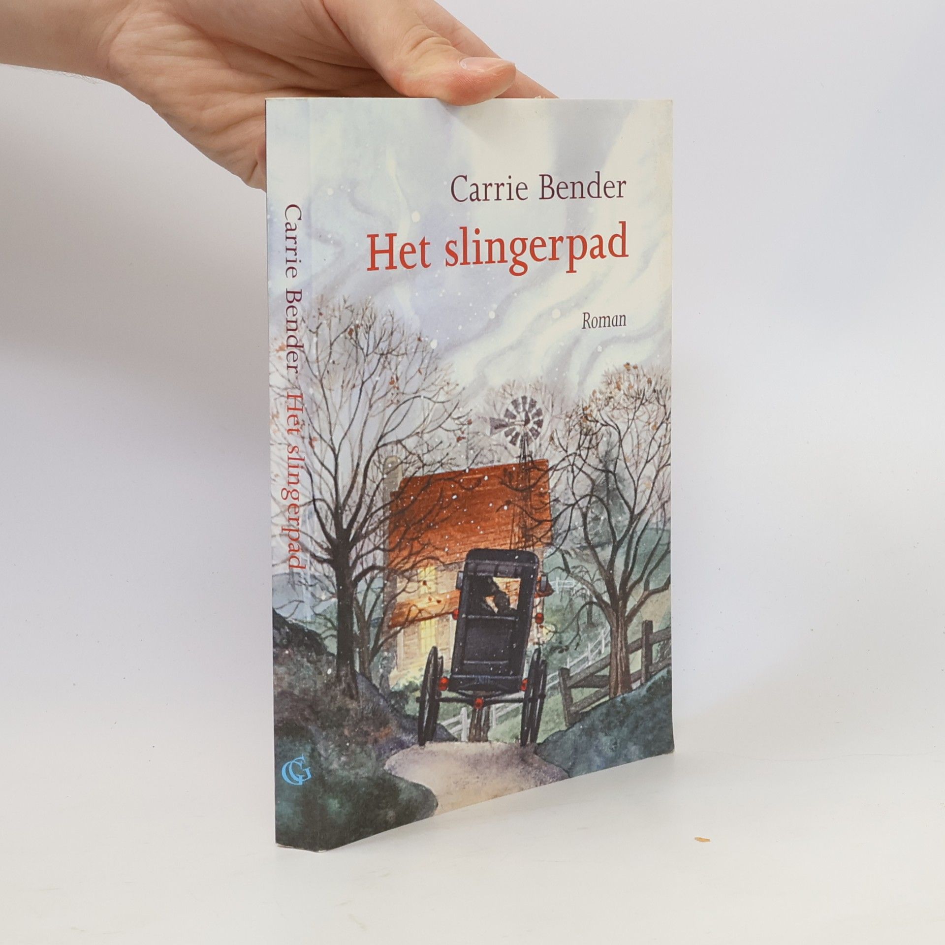 Carrie Bender Het slingerpad