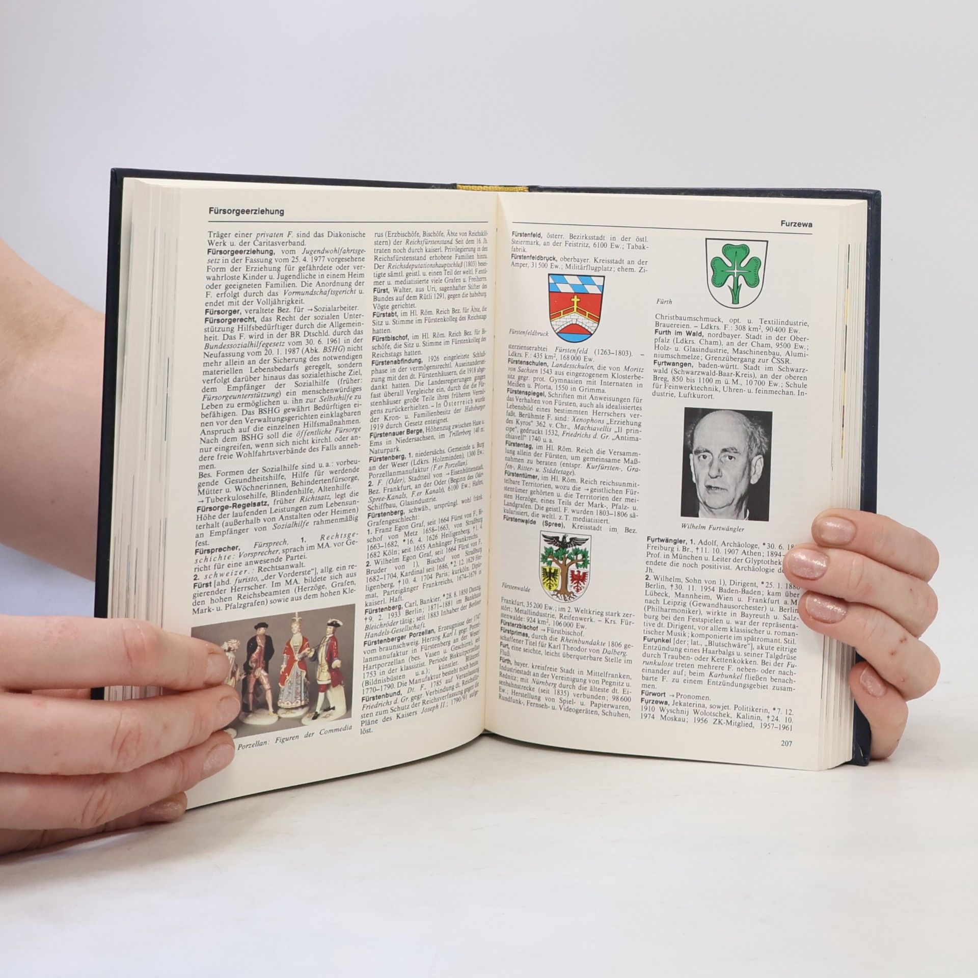Autorenkollektiv Bertelsmann Universal Lexikon 6. Feu Gier