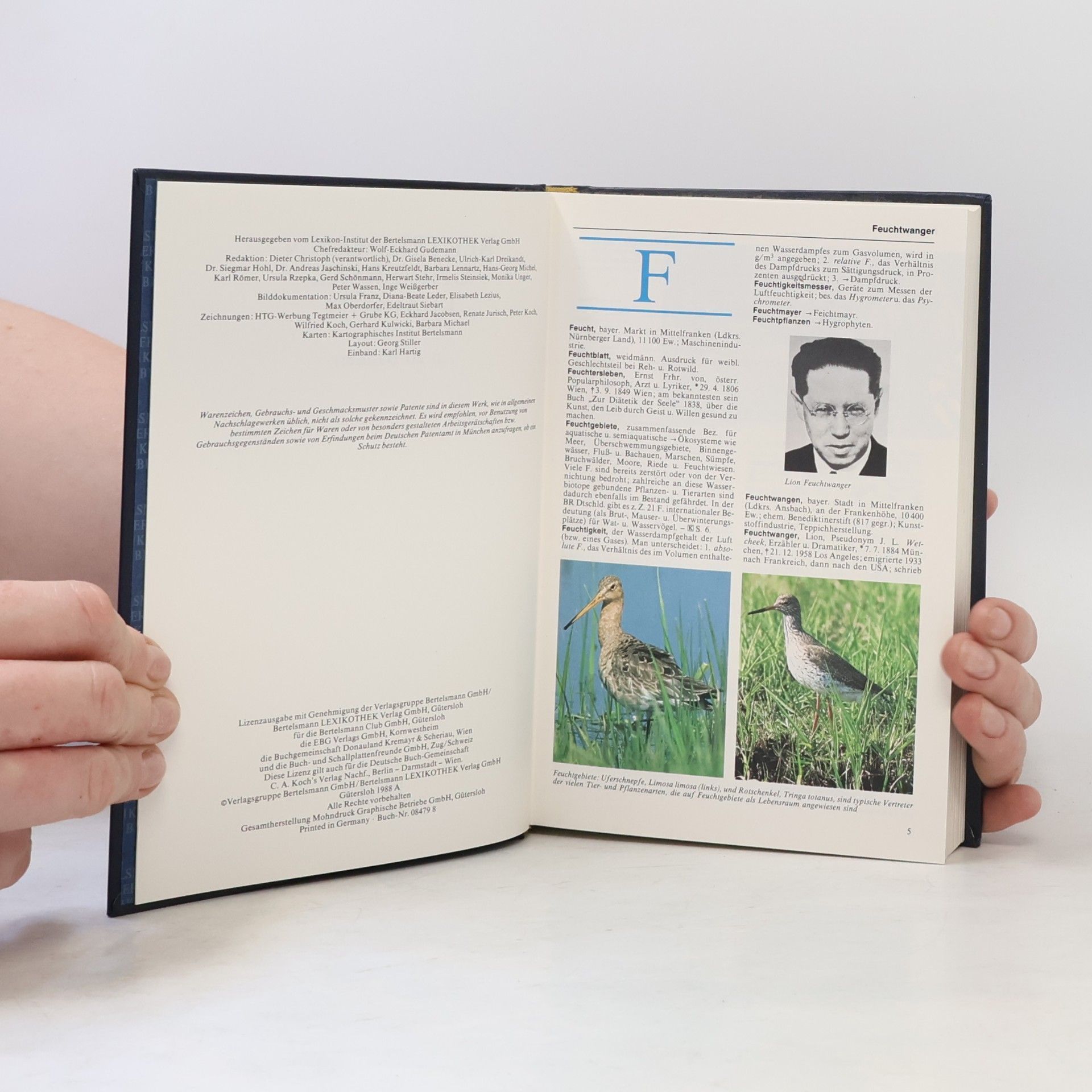 Autorenkollektiv Bertelsmann Universal Lexikon 6. Feu Gier