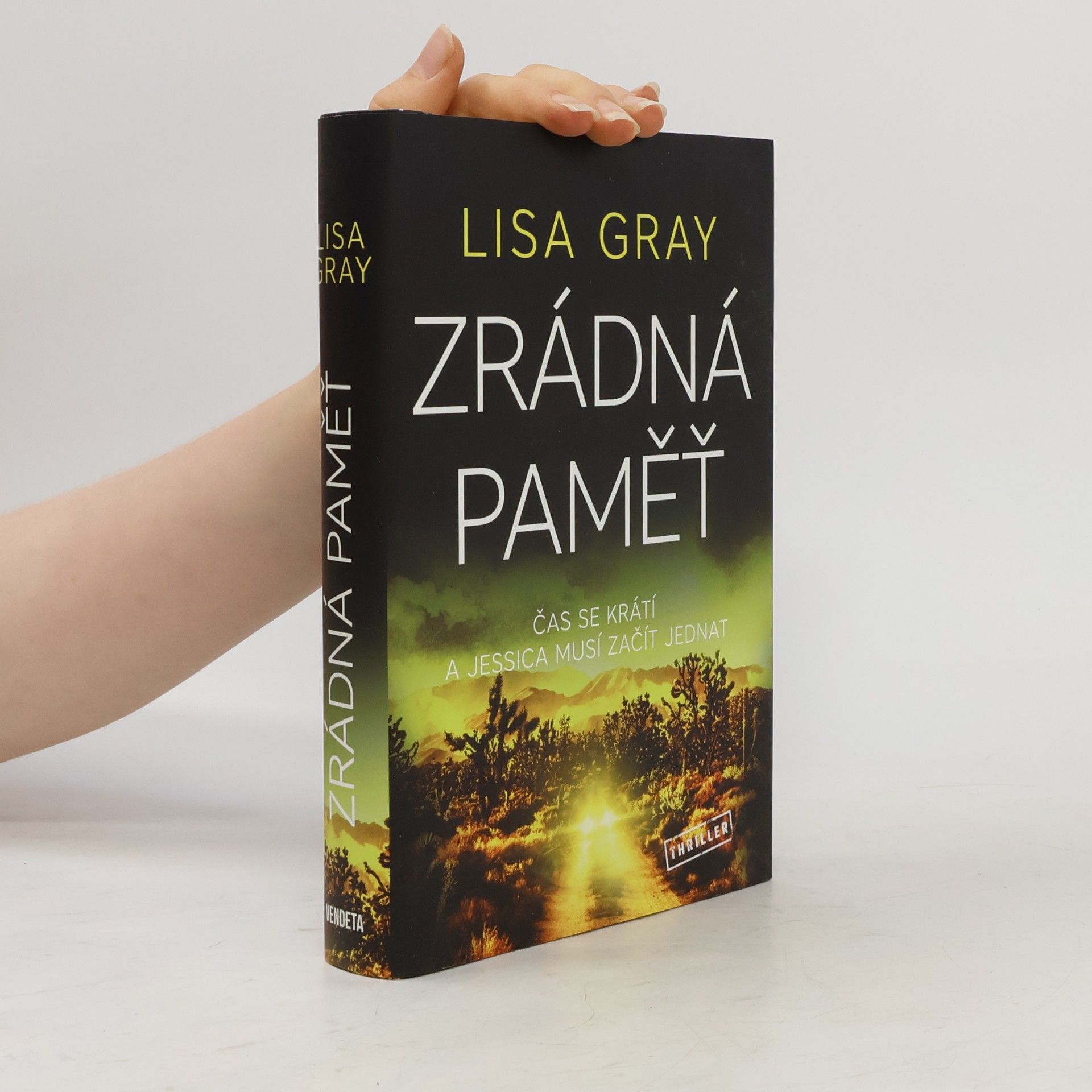 Lisa Gray Zrádná paměť