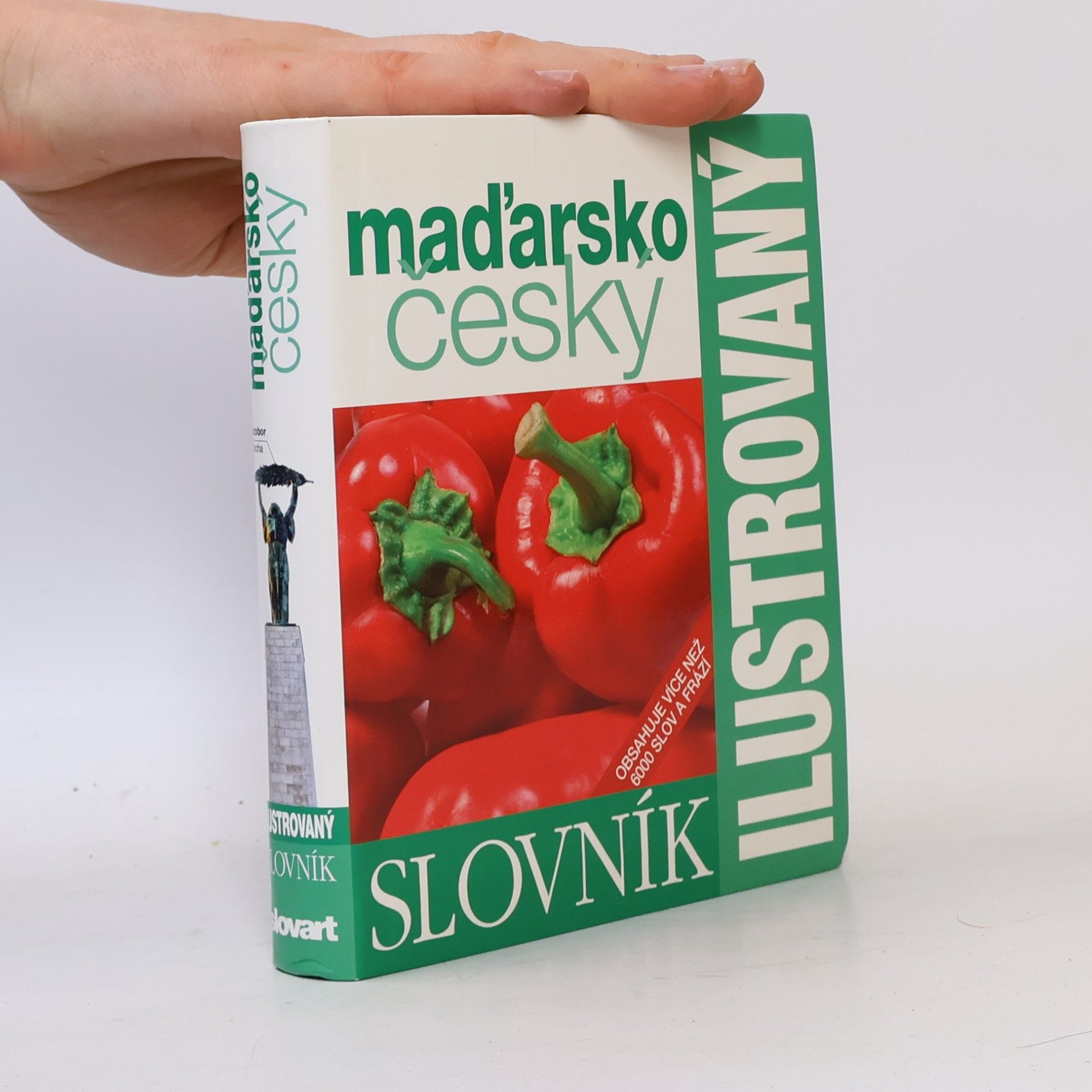 Kolektív autorov Maďarsko český ilustrovaný slovník
