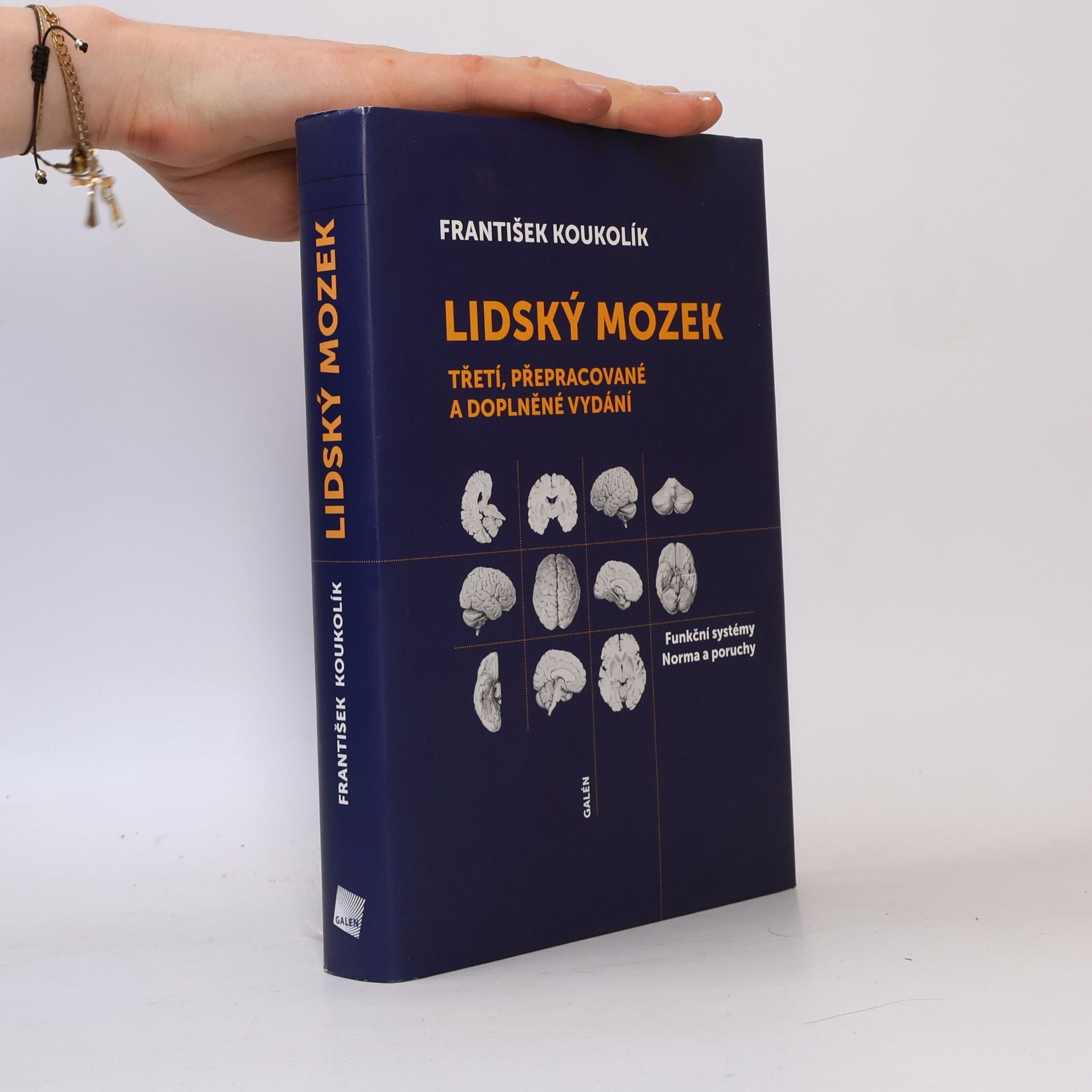 František Koukolík Lidský mozek