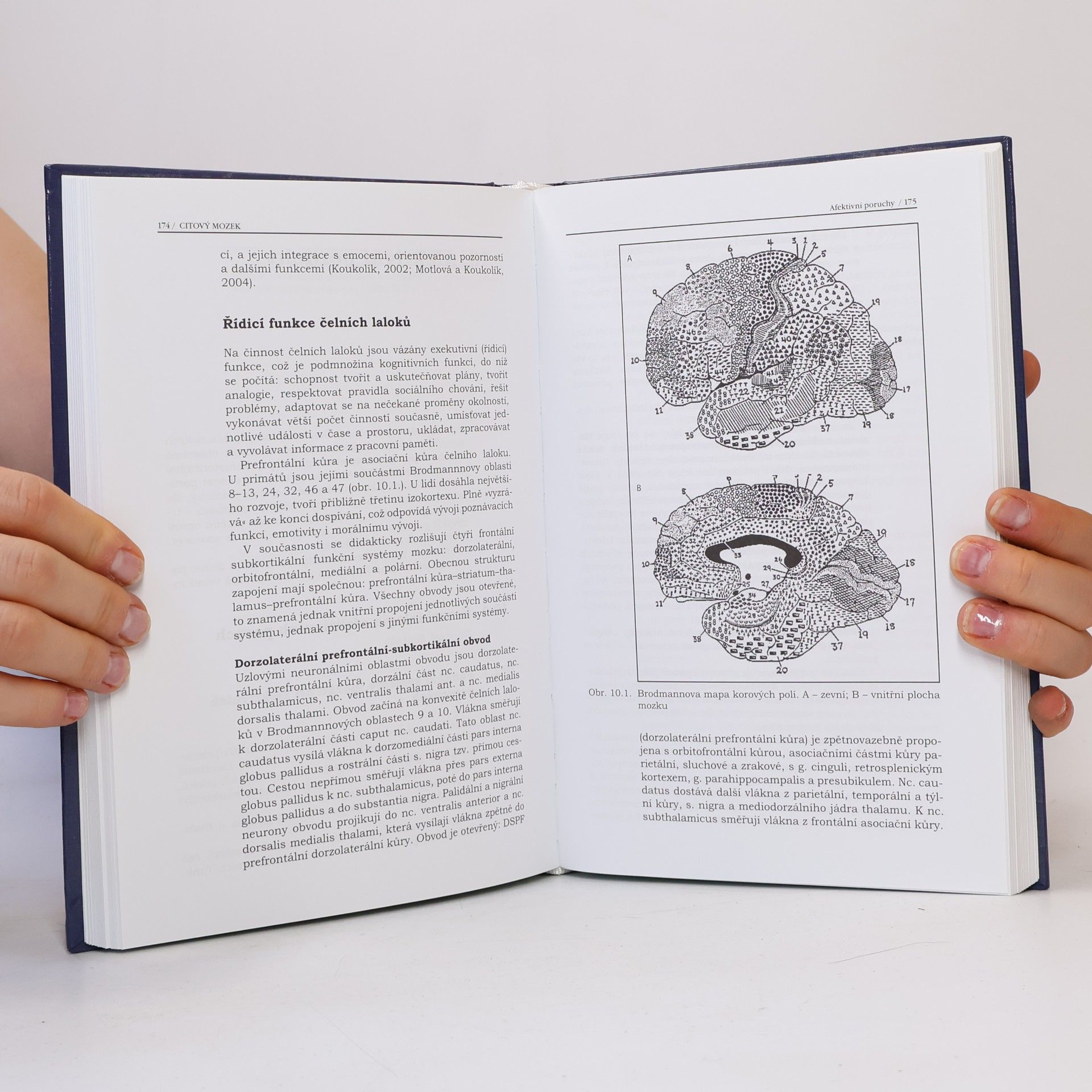 Lucie Bankovská Motlová Citový mozek : neurobiologie, klinický obraz, terapie
